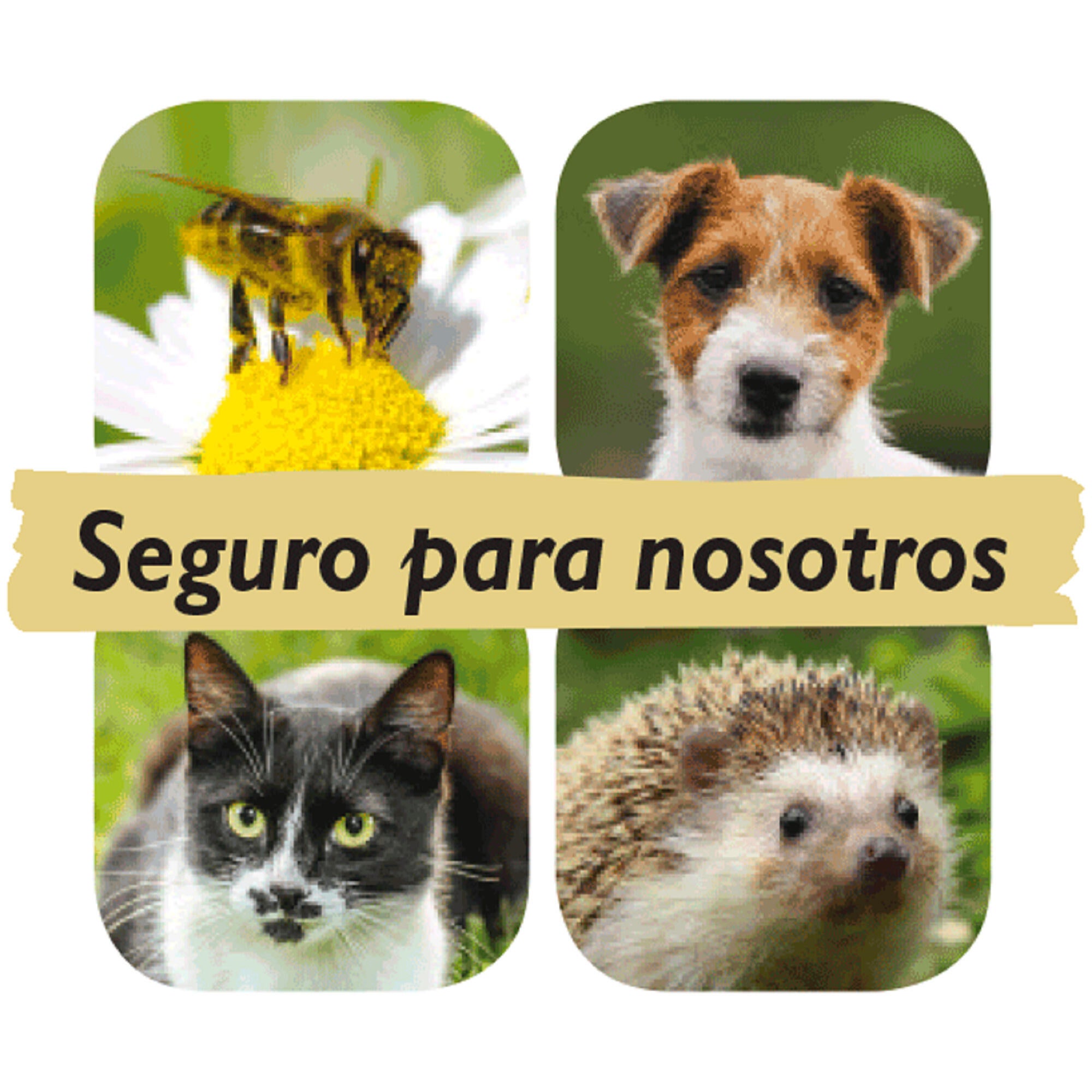 Abono para plantas verdes NEUDORFF 1 L - 2