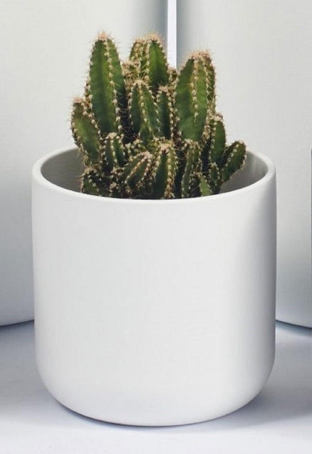 Vaso cerâmico 25 cm branco Gfs