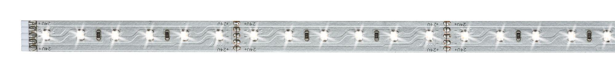 Ruban LED 1m blanc lumière du jour 6500K 550 lumens Maxled PAULMANN - 3