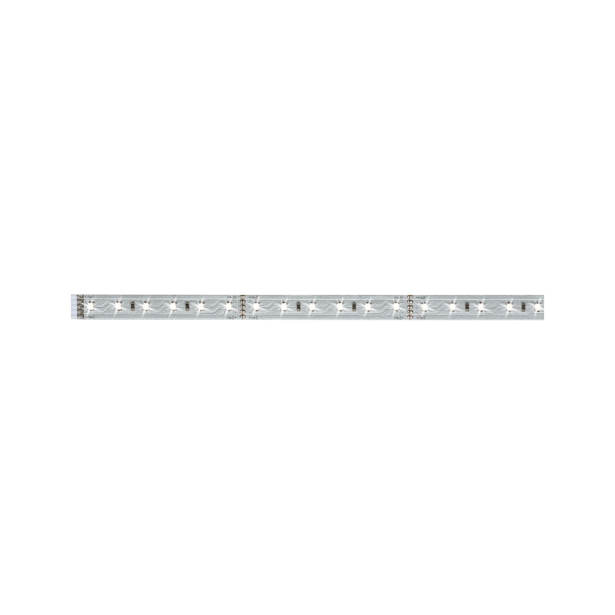Ruban LED 1m blanc lumière du jour 6500K 550 lumens Maxled PAULMANN - 6