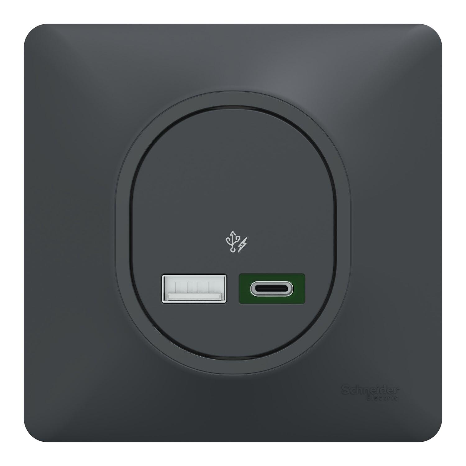 Prise chargeur double usb A+C 12W à assembler Ovalis, SCHNEIDER Prise chargeur double usb A+C 12W à assembler Ovalis, SCHNEIDER