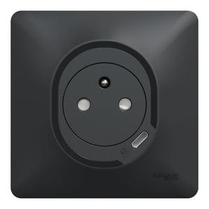 Prise affleurante + chargeur usb C complet Ovalis SCHNEIDER ELECTRIC, anthracite
