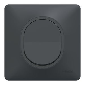 Interrupteur va-et-vient complet Ovalis, SCHNEIDER ELECTRIC, gris anthracite