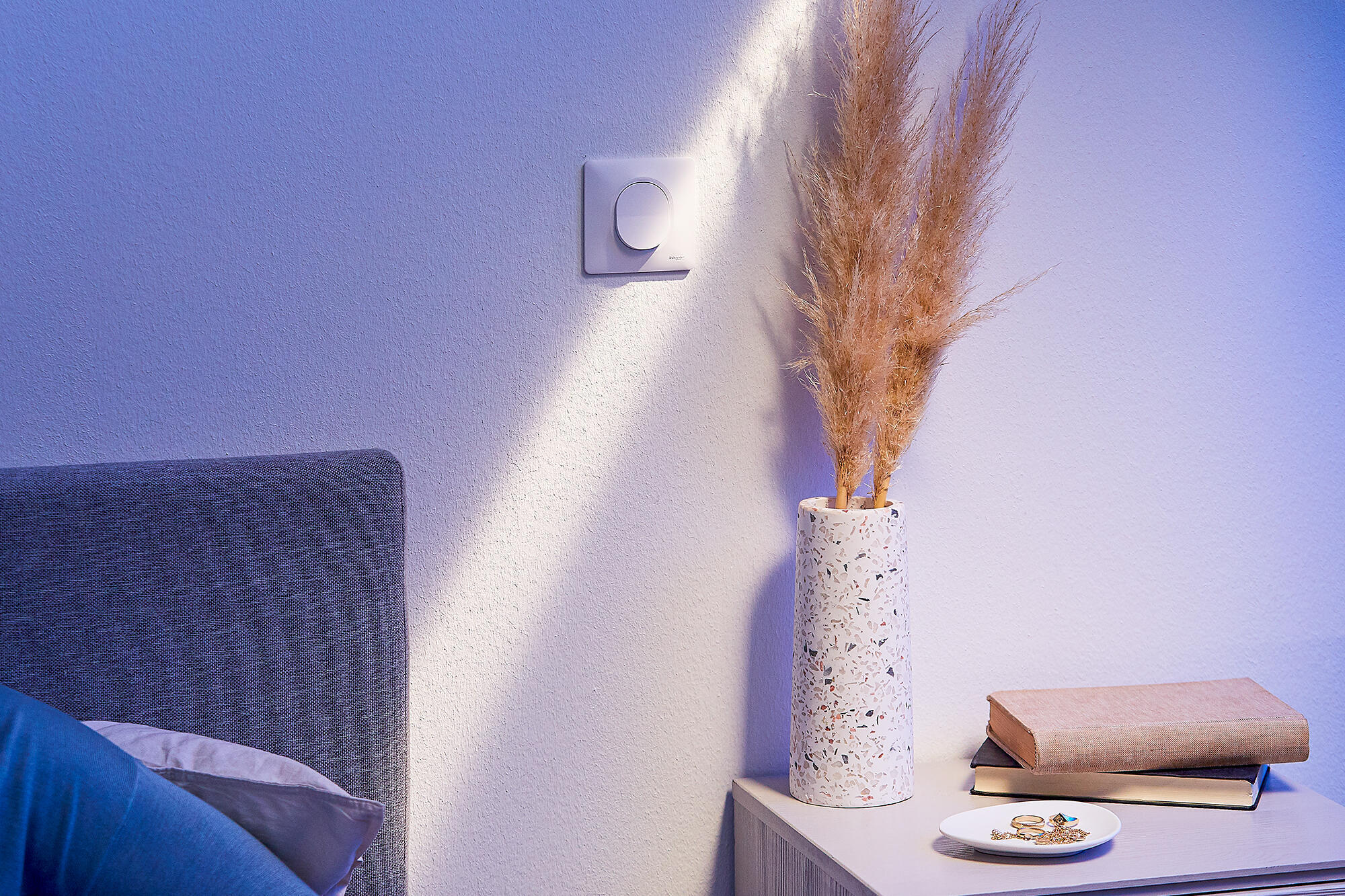 Poussoir complet Ovalis, SCHNEIDER ELECTRIC, blanc - 10