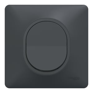 Poussoir complet Ovalis, SCHNEIDER ELECTRIC, gris anthracite