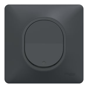 Interrupteur va-et-vient lumineux complet Ovalis, SCHNEIDER ELECTRIC, anthracite