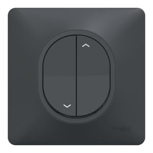 Interrupteur volet roulant complet Ovalis, SCHNEIDER ELECTRIC, gris anthracite