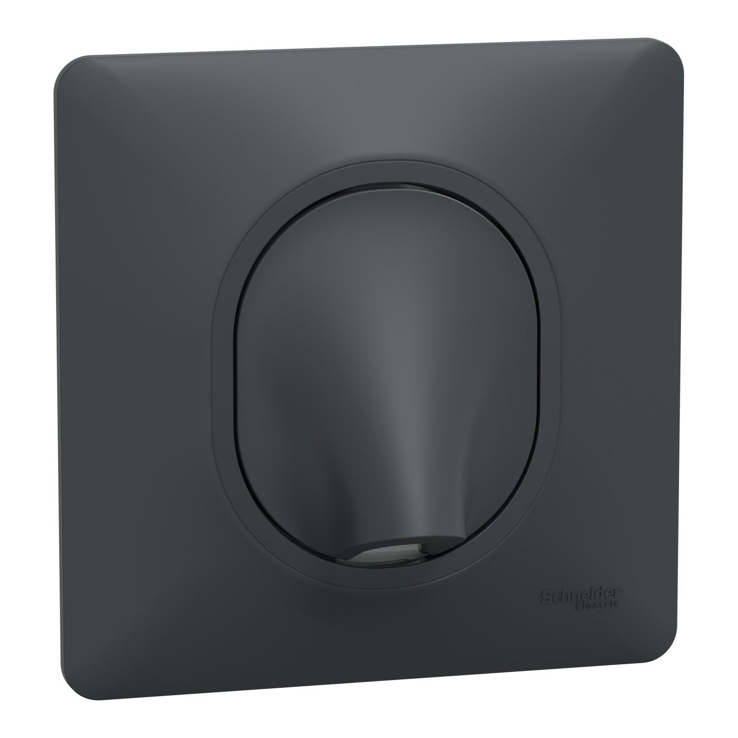Sortie de câble complet Ovalis, SCHNEIDER ELECTRIC, gris anthracite - 9