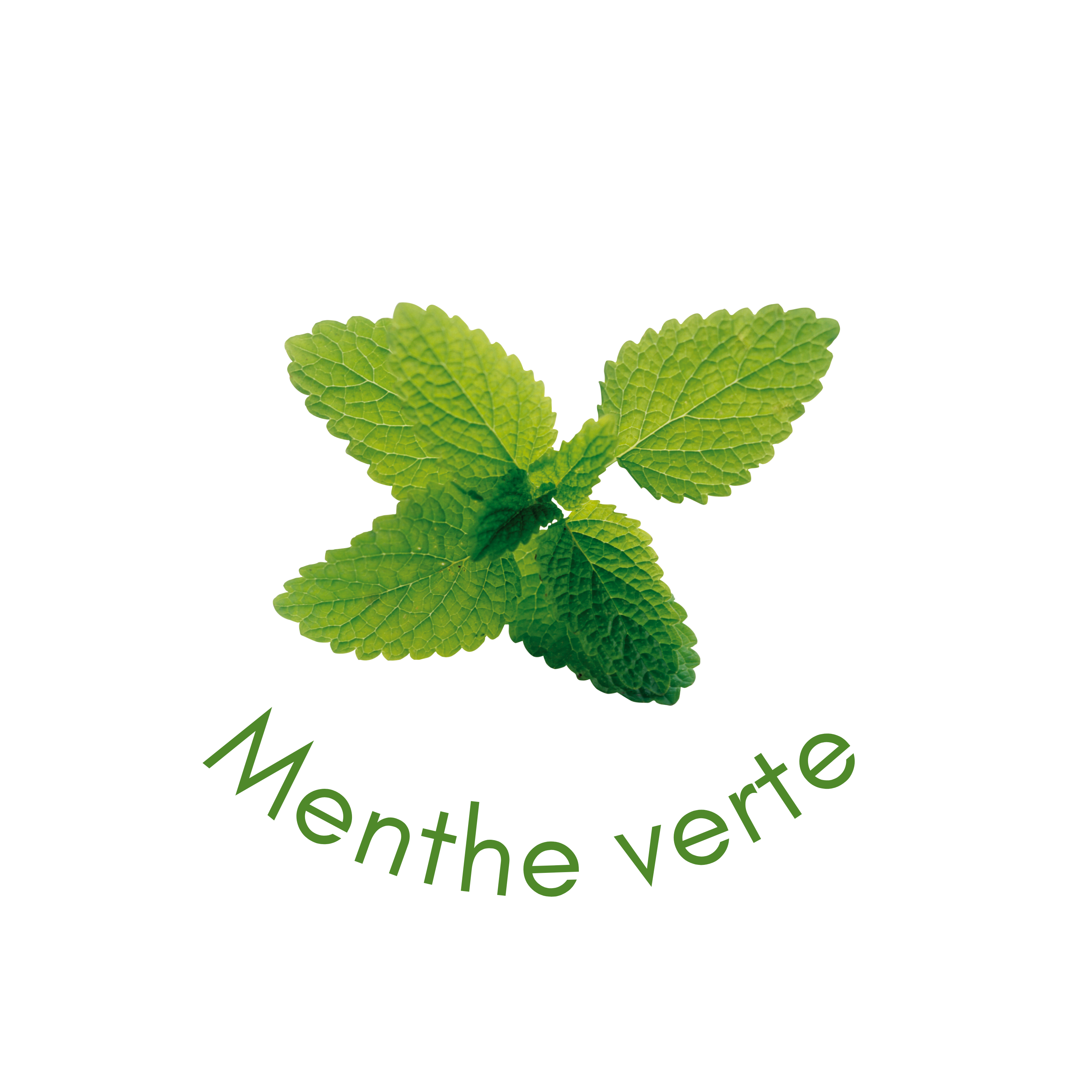 Désinfectant purificateur d'air SANYTOL, 600ml - 5