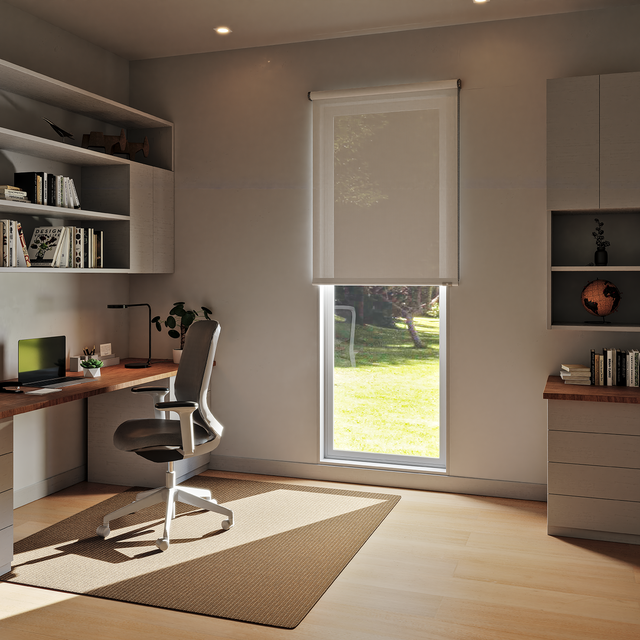 Store enrouleur screen Salsa blanc, l.75 x H.250 cm, INSPIRE