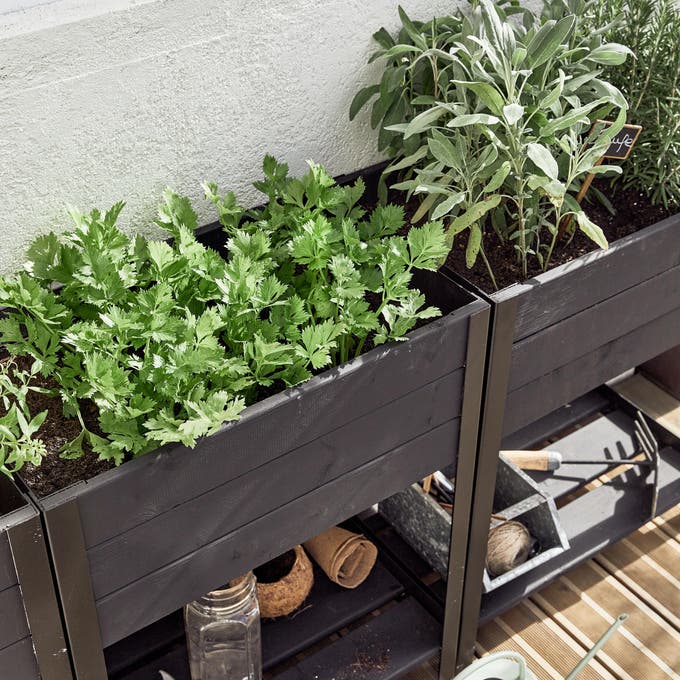 photo d'une jardinière en métal sur la terrasse en bois