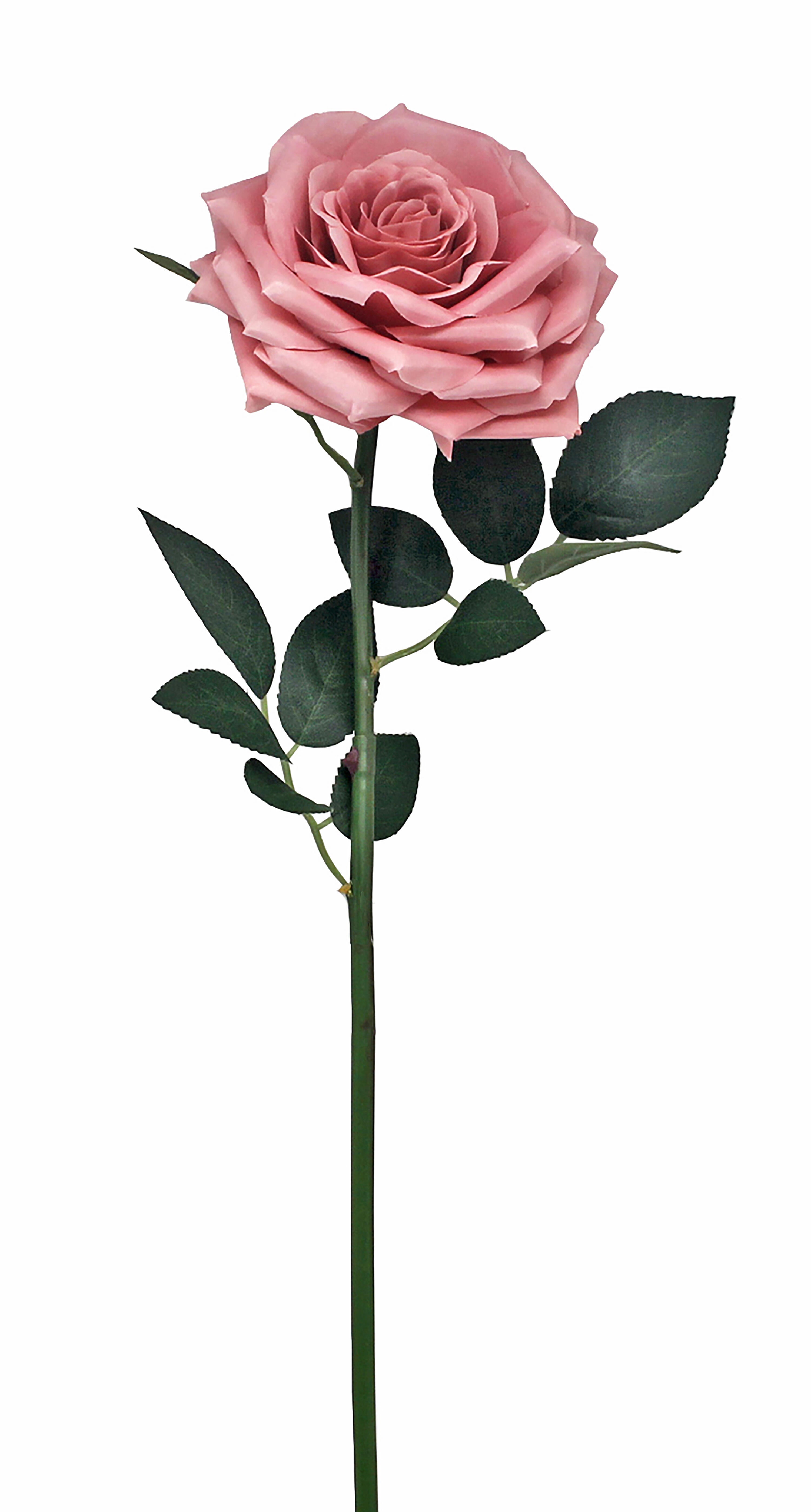 Planta artificial 63 cm Rosal - 3