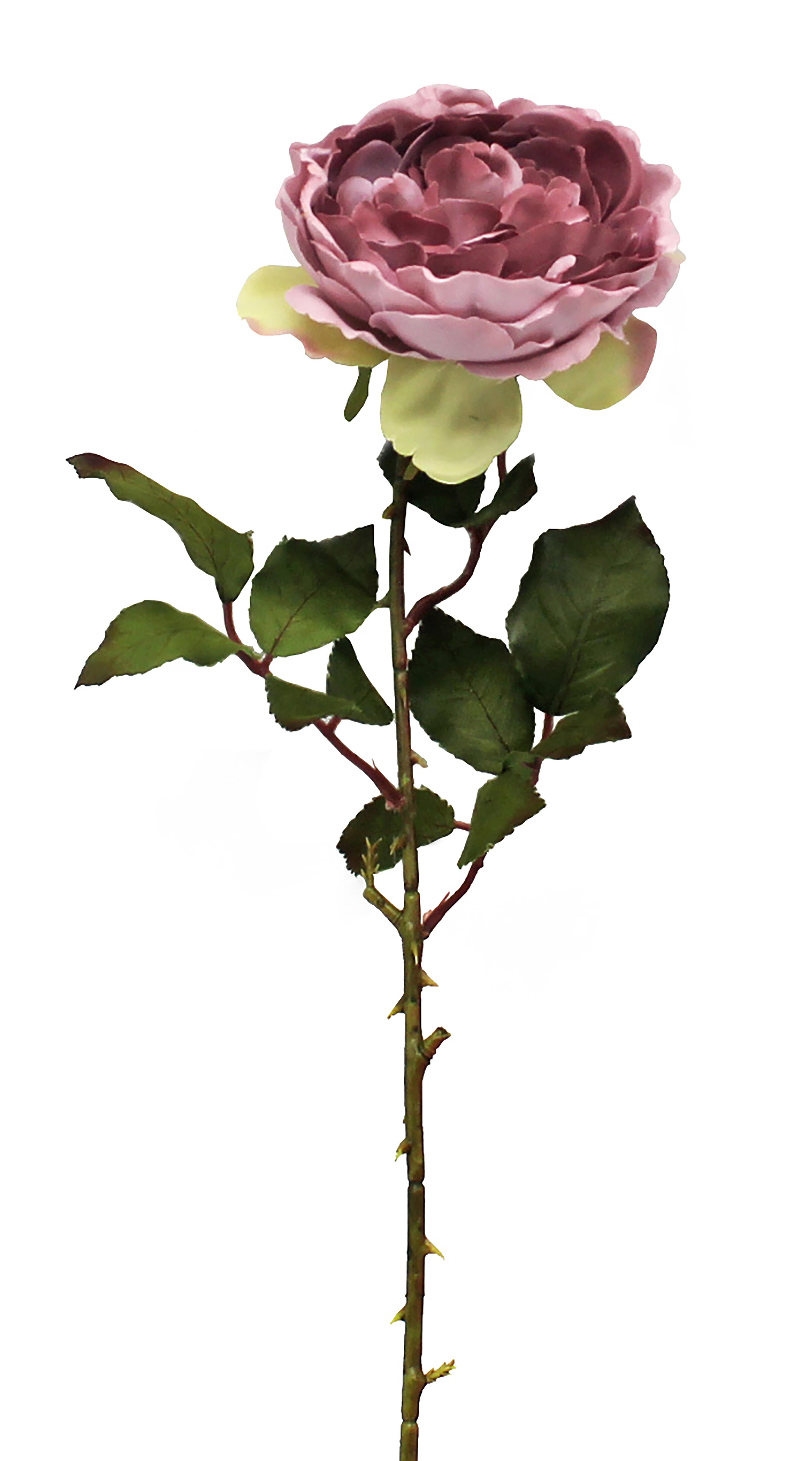 Planta artificial 64x13 cm - 2