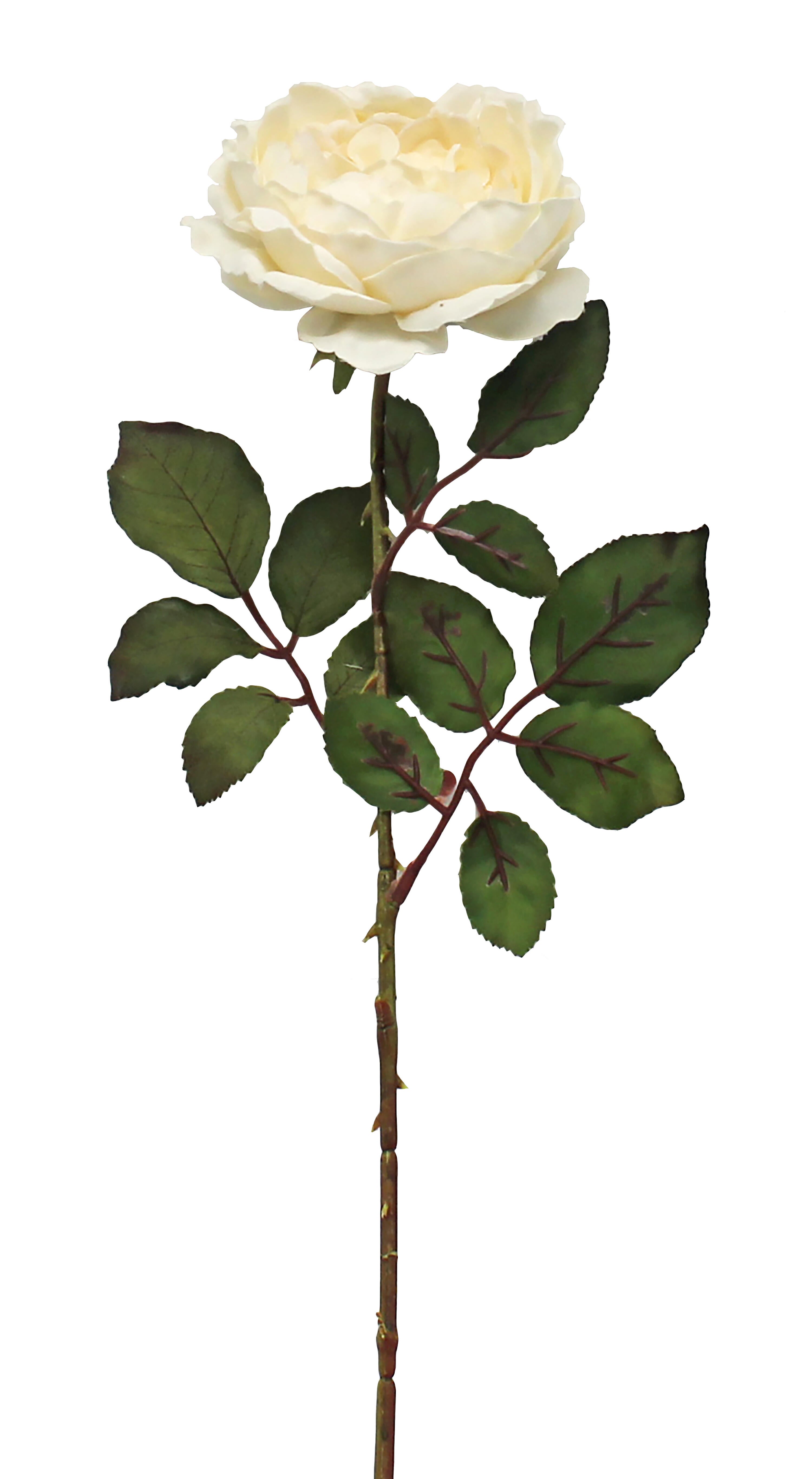Planta artificial 64x13 cm - 3