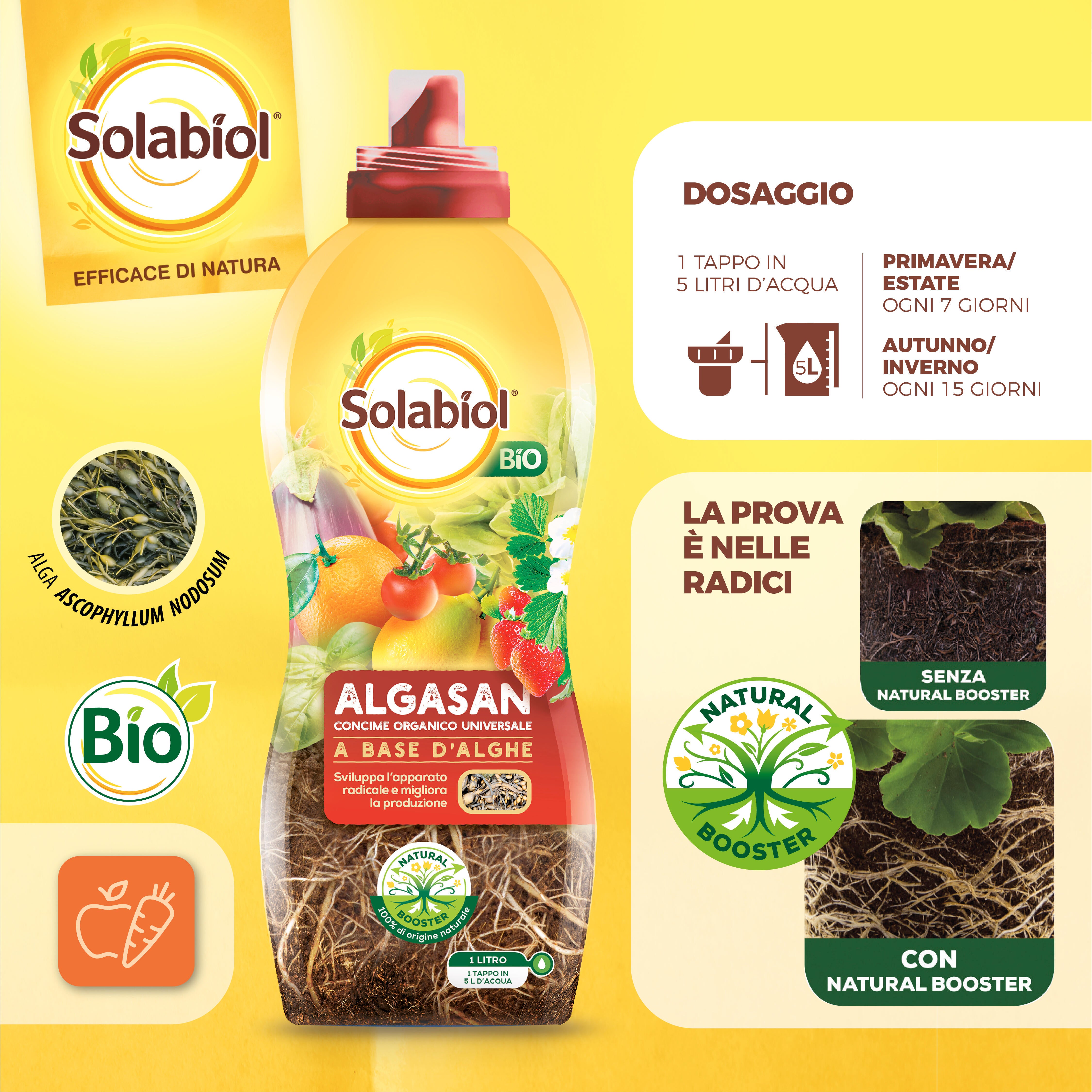 Concime liquido SOLABIOL per piante aromatiche, peperoncino, pianta di fragole, agrumi, orto, albero da frutto Algasan BIO 1.2 L - 4