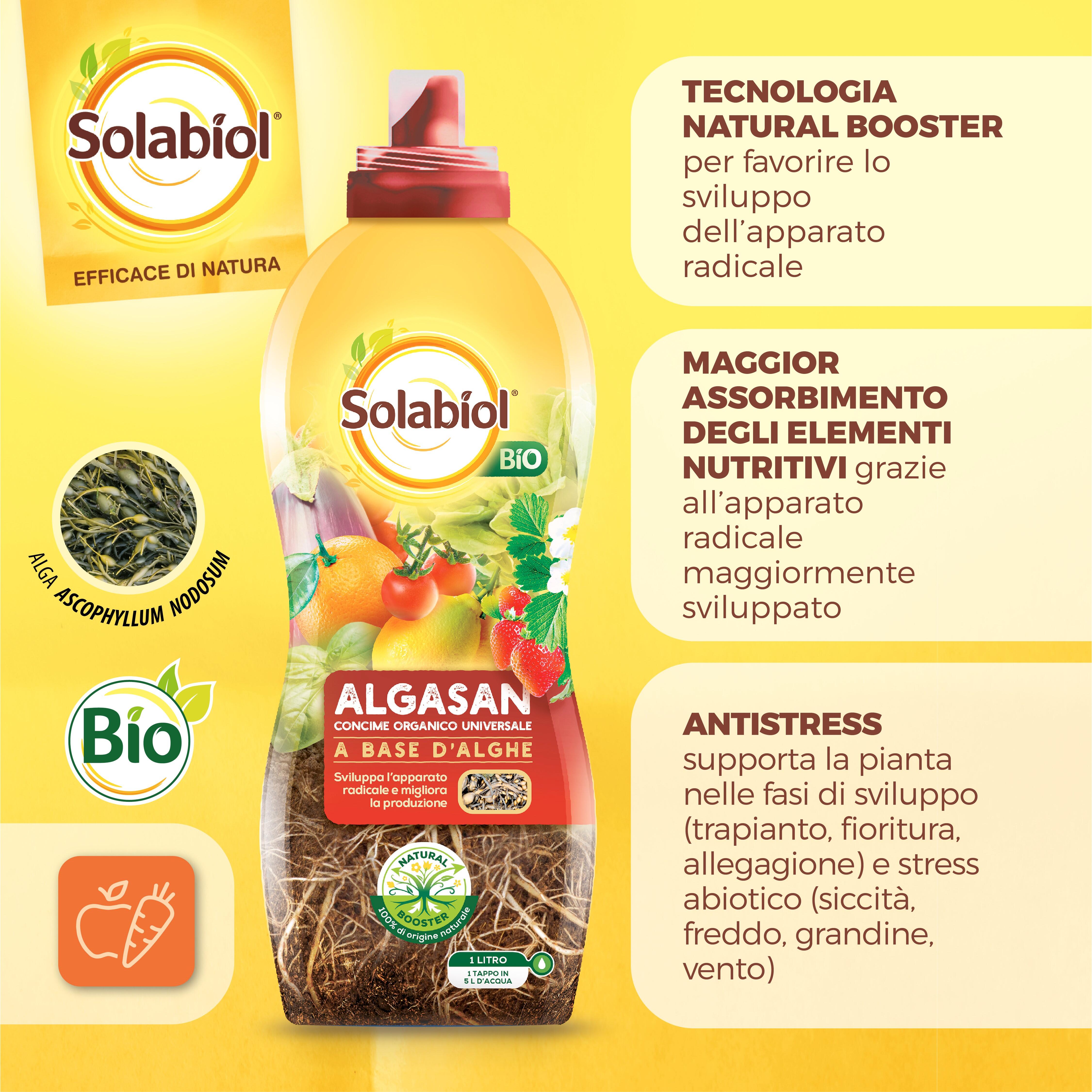 Concime liquido SOLABIOL per piante aromatiche, peperoncino, pianta di fragole, agrumi, orto, albero da frutto Algasan BIO 1.2 L - 3