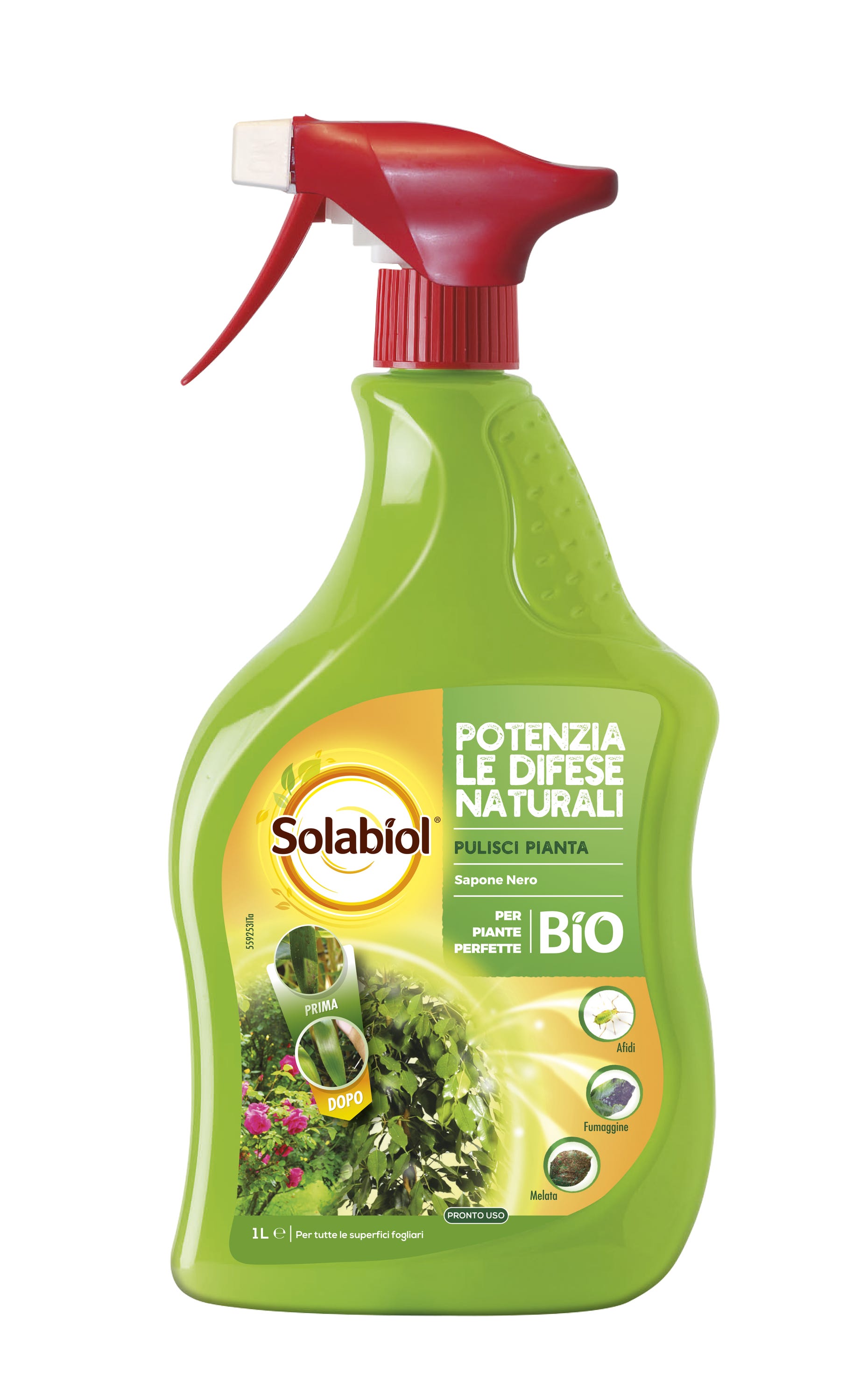 Olio Di Neem BioA.L.T Pronto All’uso Efficace Naturale Per Piante Orna Alberi Da Frutto E Ortaggi Contro Ogni Avversita Del Terreno Come Afidi Cimici E Insetti Infestanti Olio Di Neem BioA.L.T Pronto All’uso Efficace Naturale Per Piante Orna Alberi Da Frutto E Ortaggi Contro Ogni Avversita Del Terreno Come Afidi Cimici E Insetti Infestanti