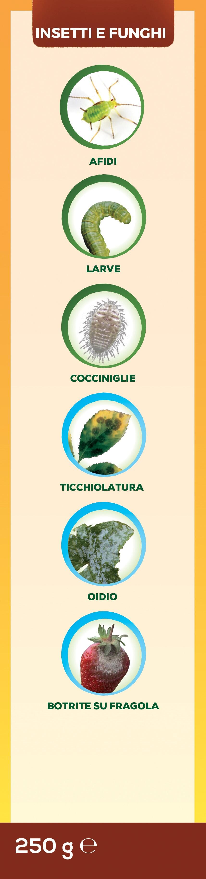 Insetticida fungicida SOLABIOL Zeolite Cubana Polvere da diluire - 10