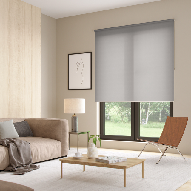 Tenda a rullo filtrante INSPIRE Samba grigio chiaro 120x250 cm