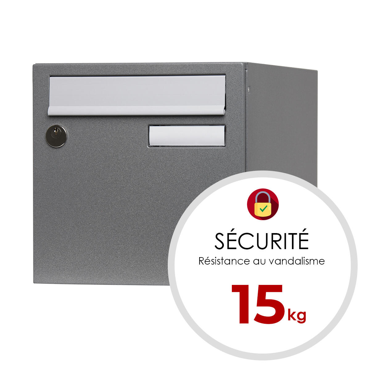 Boîte aux lettres provisoire 1 porte RENZ Planète , extérieur, acier gris - 3