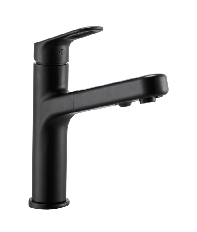 Robinet de cuisine avec douchette noir, Icone, DELINIA