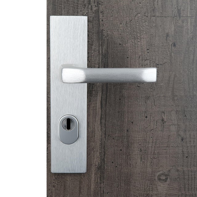 Poignée de porte sur plaque grise entraxe 195 mm ODIN x2