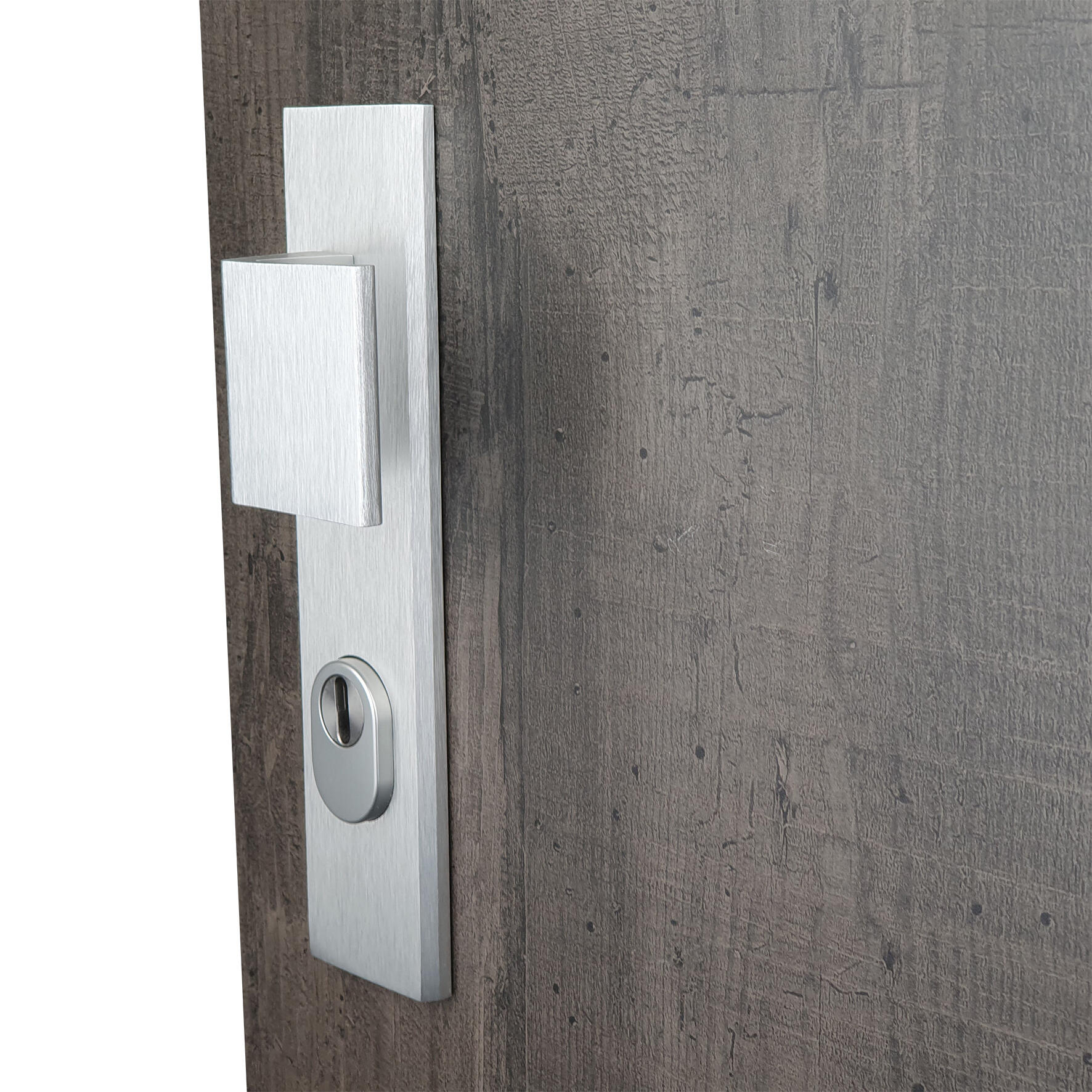 Poignée de porte sur plaque grise entraxe 195 mm ODIN x2 - 6