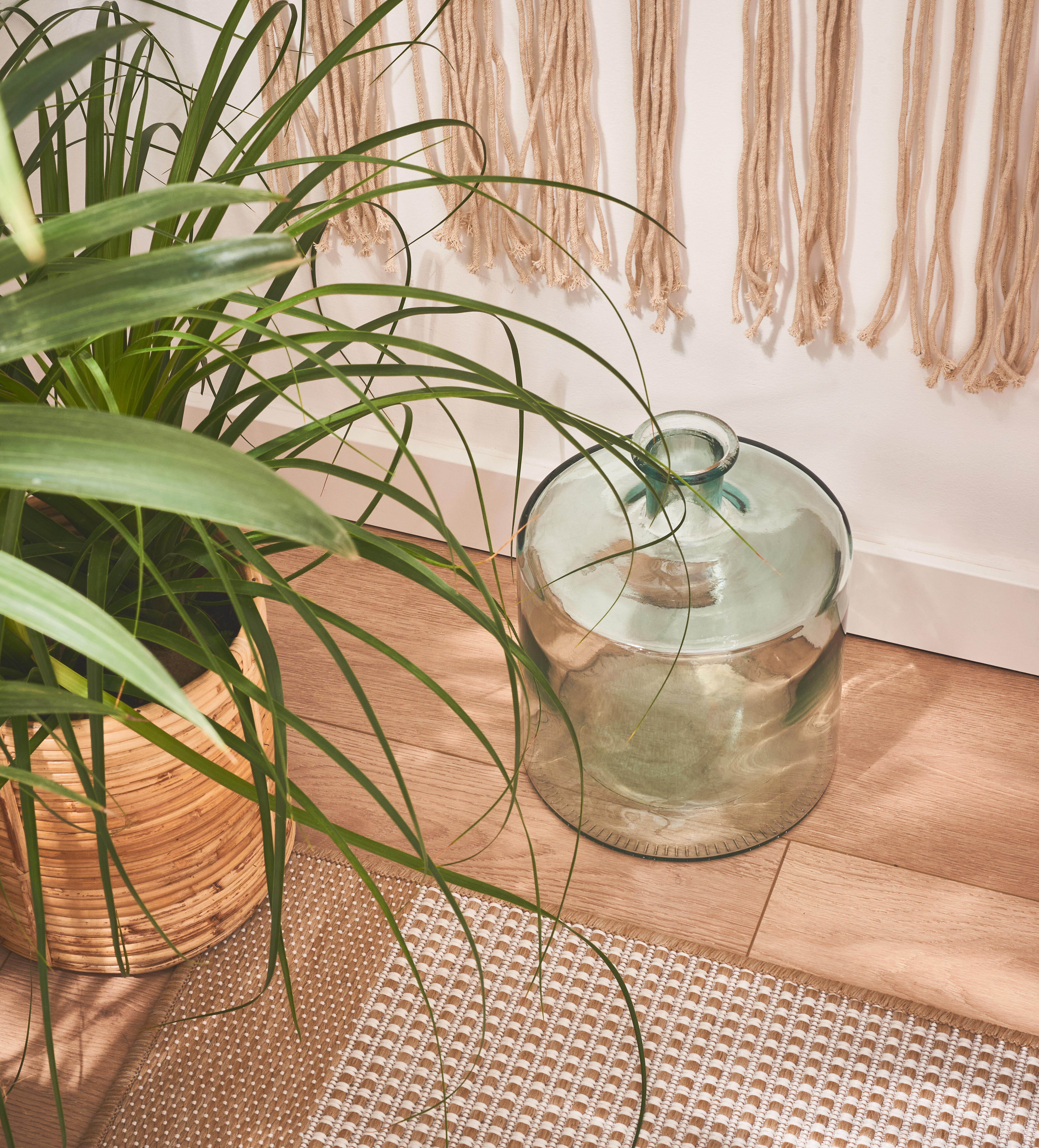 Planta verde Howea Forsteriana 100-110 cm en maceta de 17 cm - 15