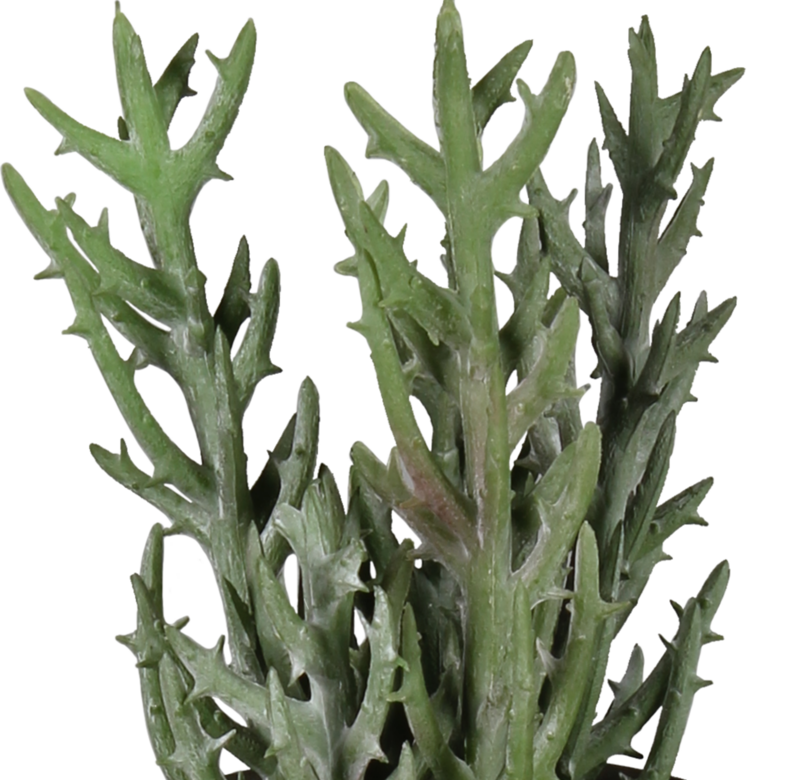 Sukulent sztuczny 16cm w doniczce metalowej - 3