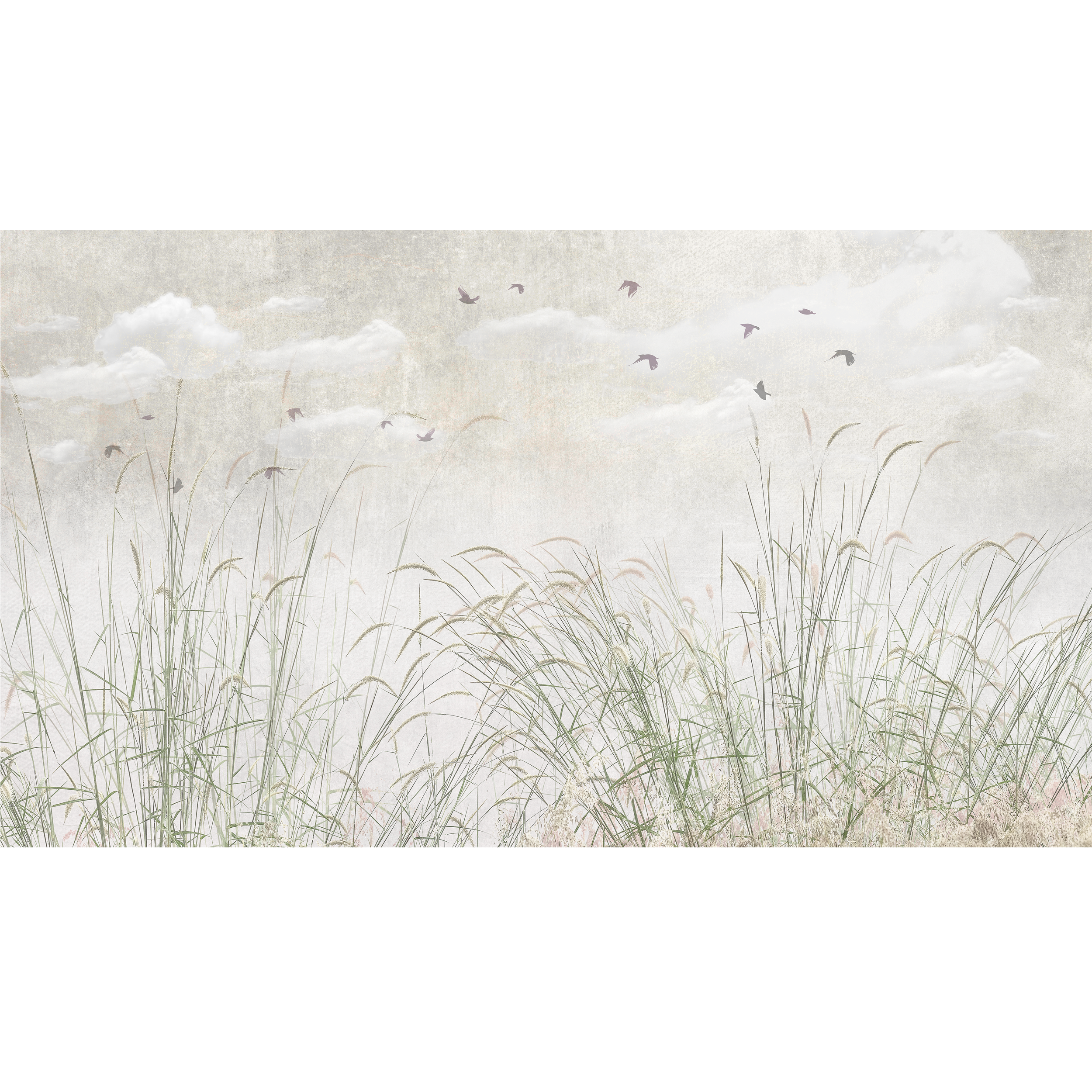 Mural Green Grass zielone trawy 500 x 280 cm delikatna struktura