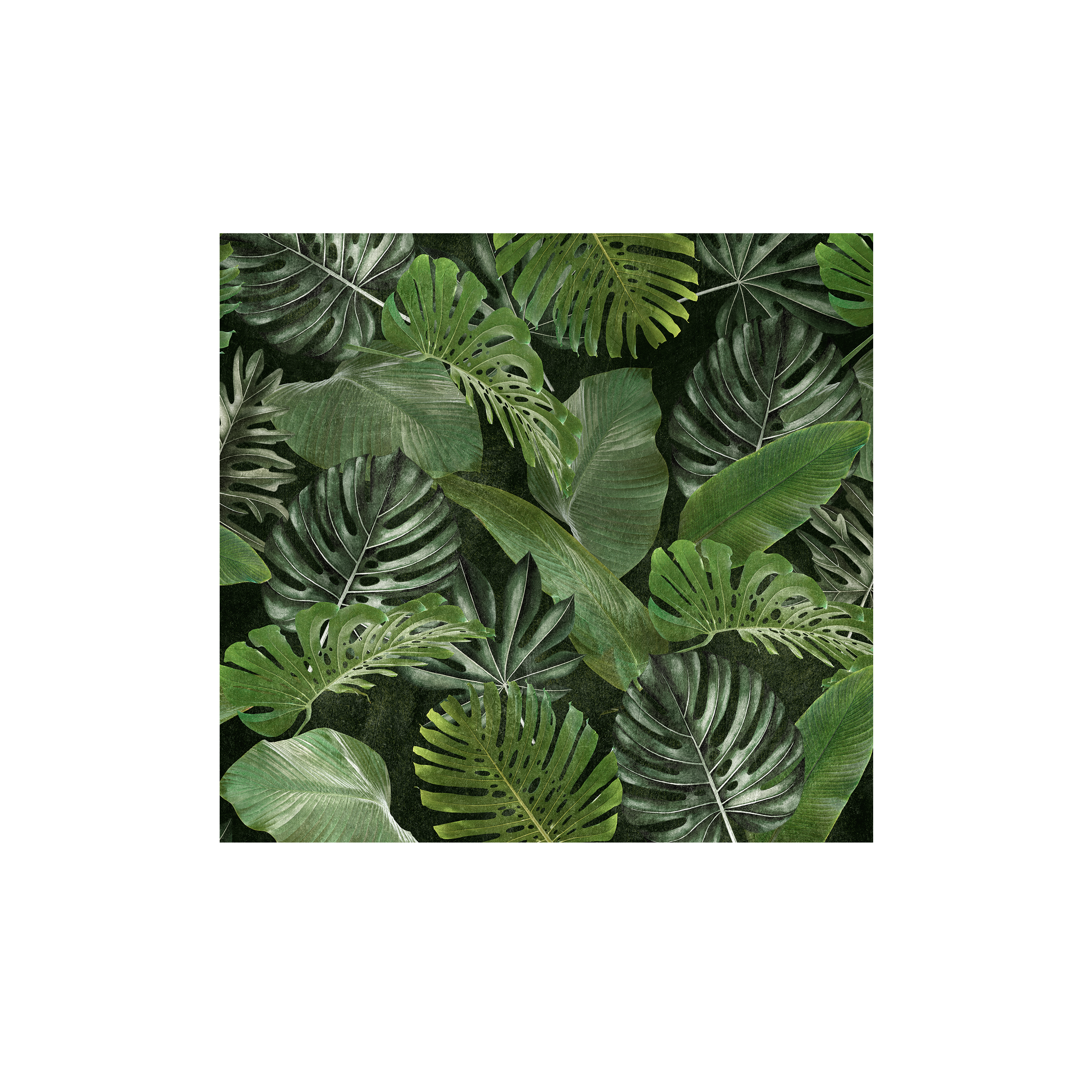 Mural Tropical egzotyczne liście 300 x 280 cm struktura Art