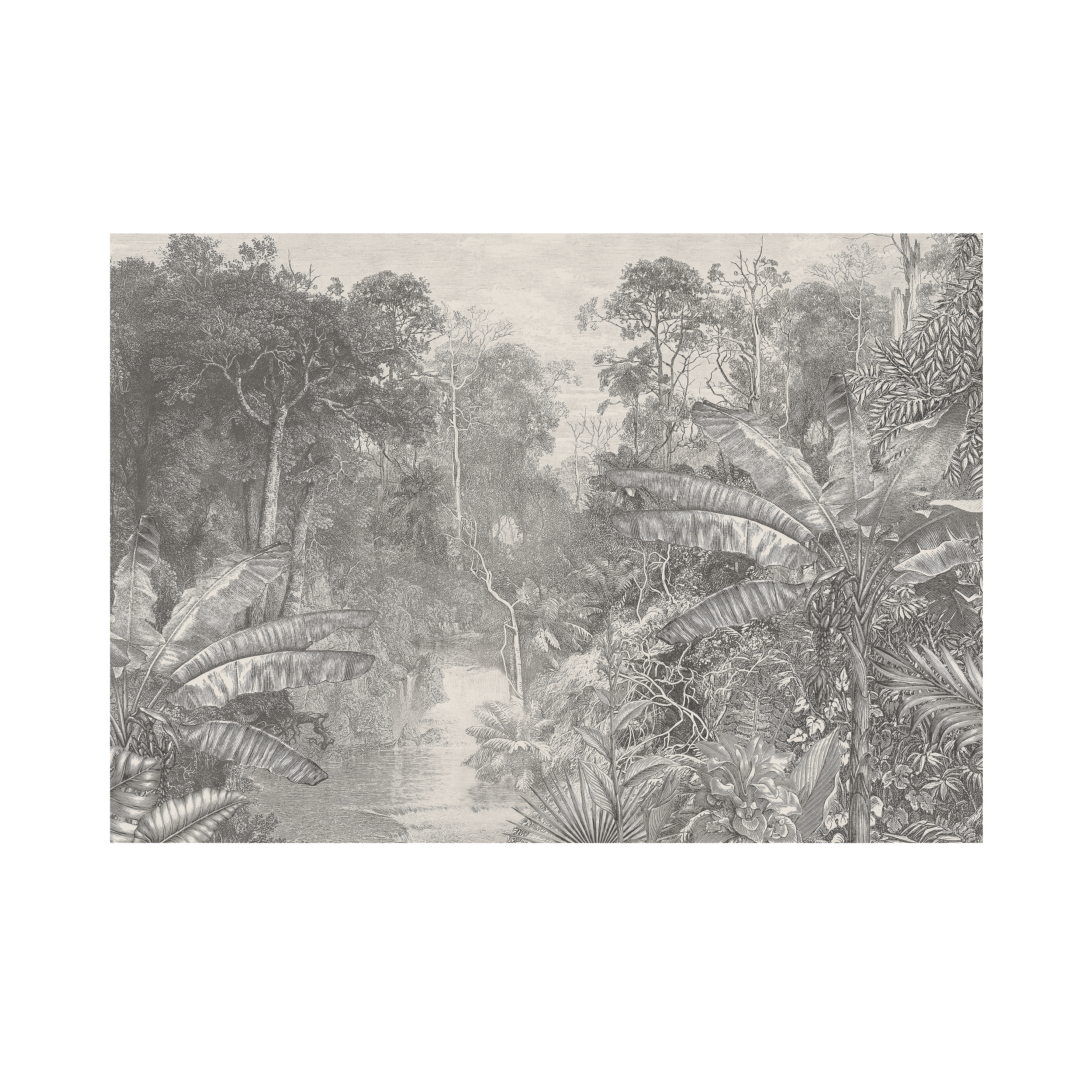 Mural Jungle dżungla w szarości 400 x 280 cm struktura płótna