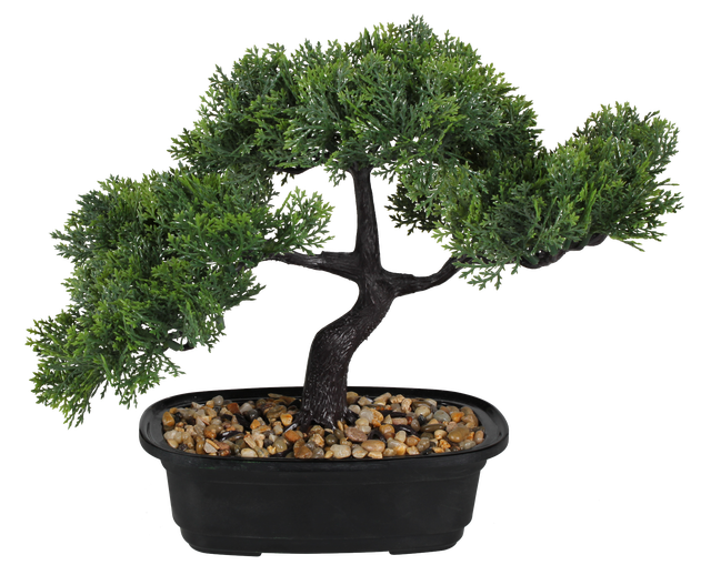 Bonsai sztuczne drzewko 24 cm w doniczce