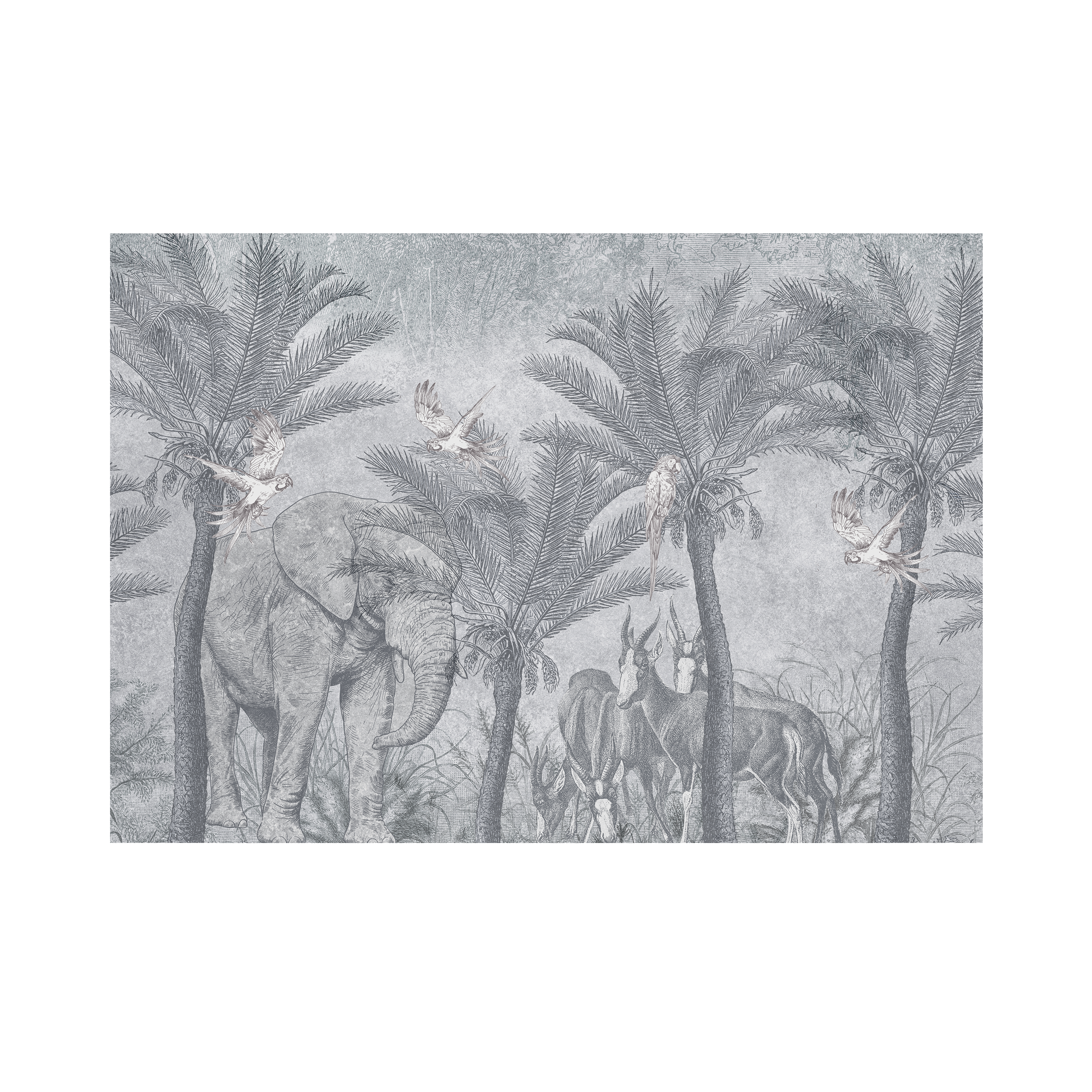 Mural Kongo afrykańska dżungla 400 x 280 cm delikatna struktura