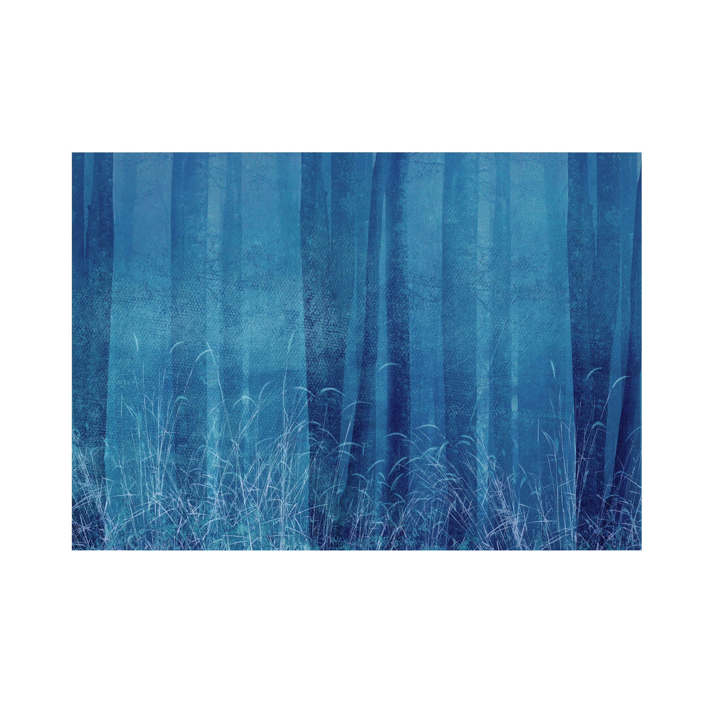 Mural Blue trawy niebieski 400 x 280 cm struktura Art