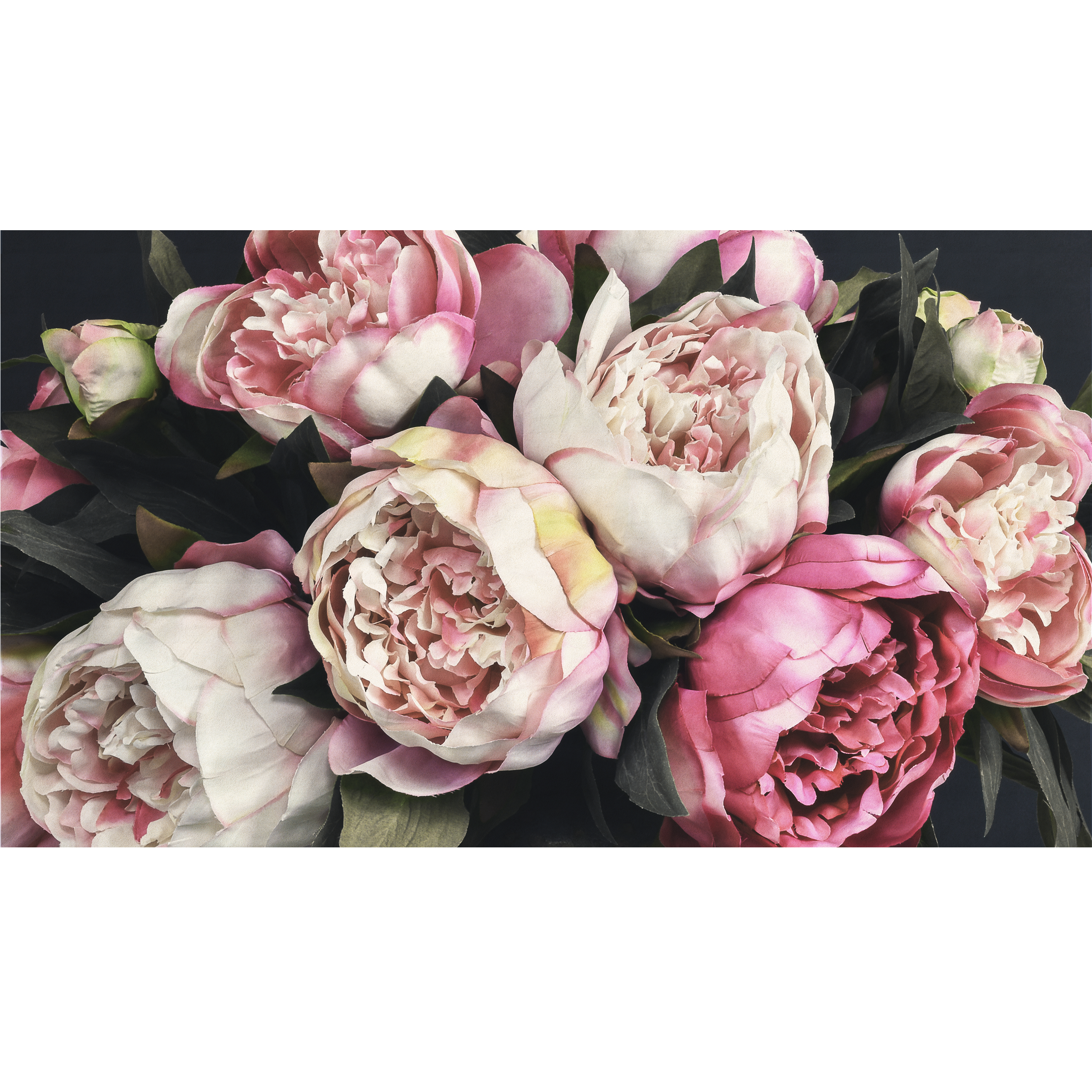 Mural Peony kwiaty peoni 500 x 280 cm struktura Art