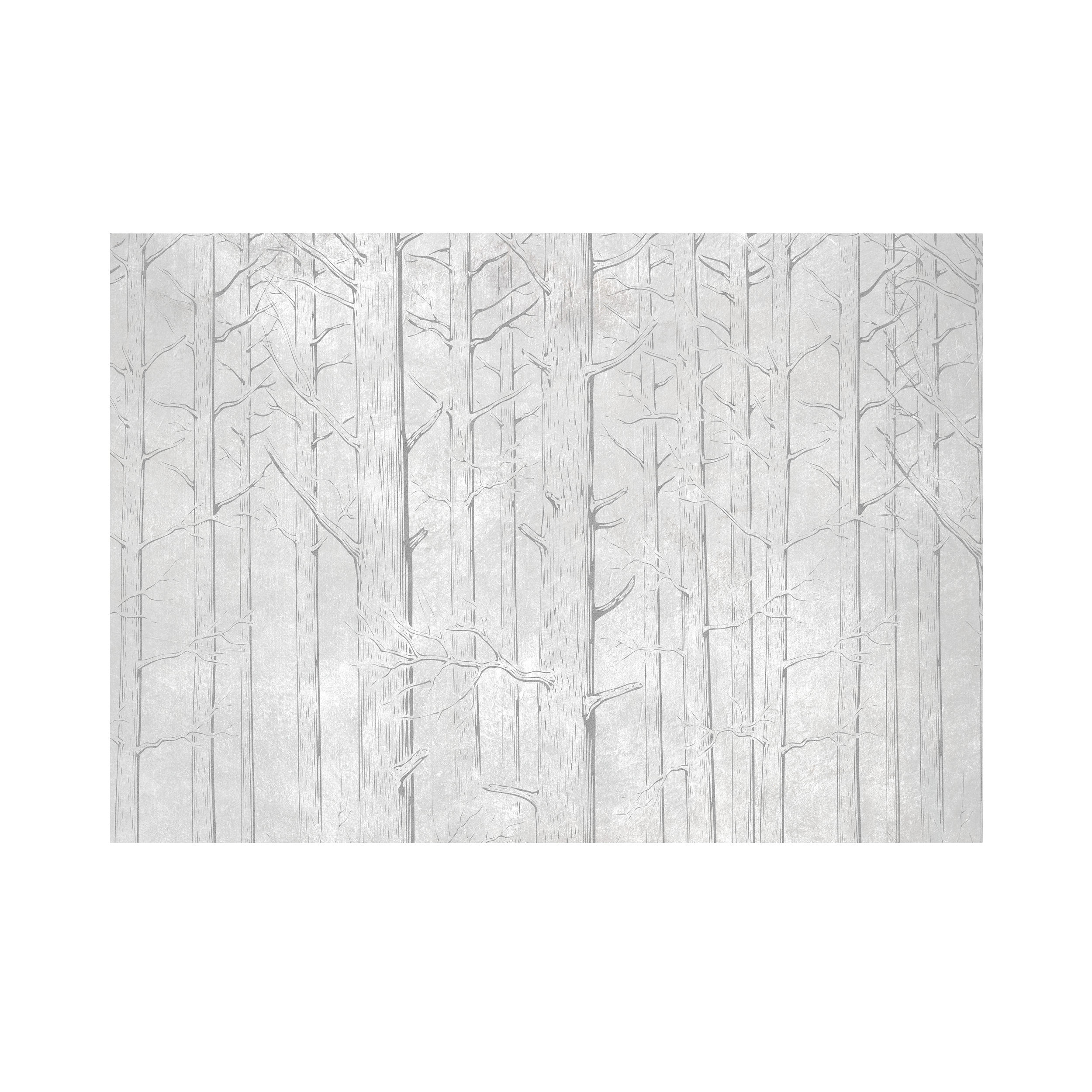 Mural Trees las w odcieniach szarości 400 x 280 cm struktura płótna