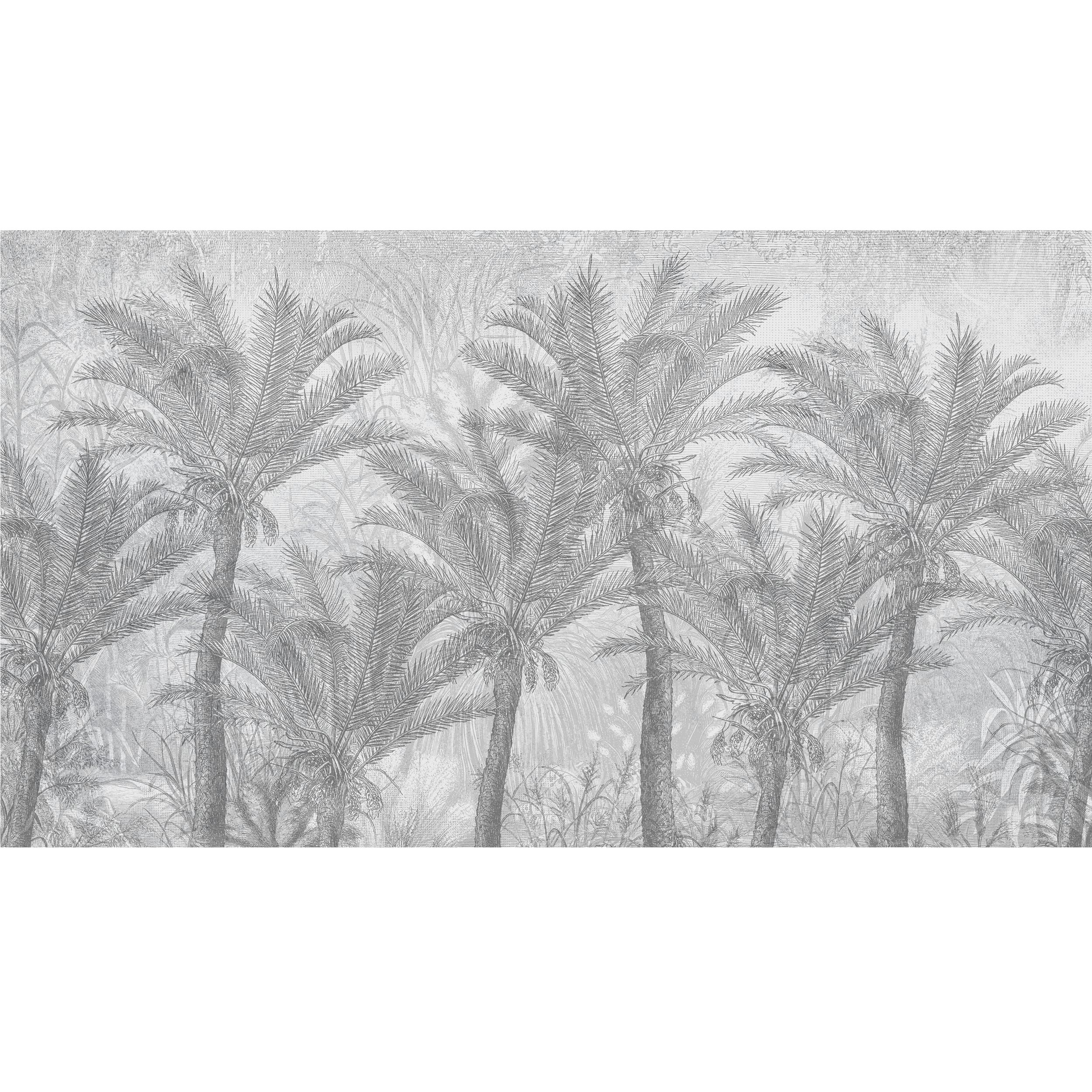 Mural Palms egzotyczne palmy 500 x 280 cm delikatna struktura