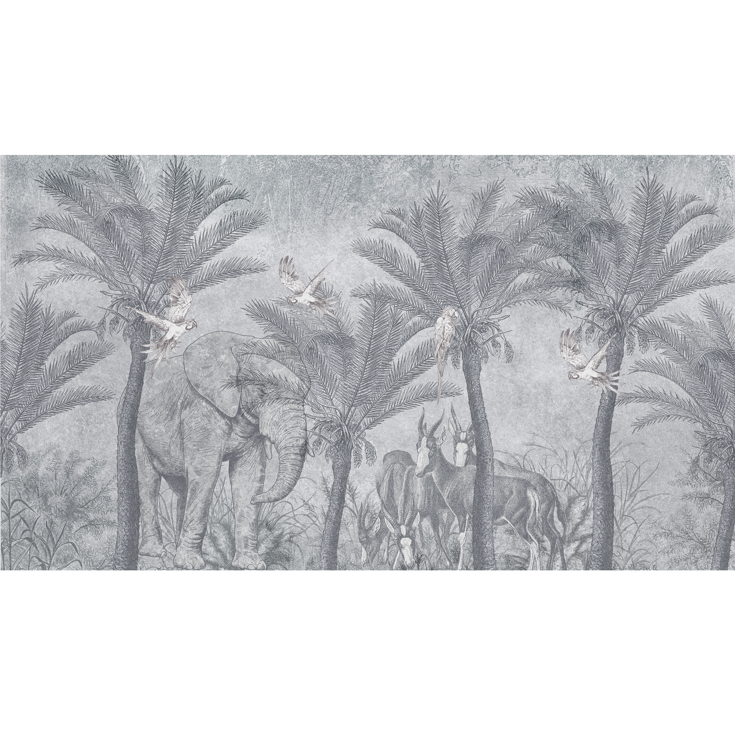Mural Kongo afrykańska dżungla 500 x 280 cm struktura Art