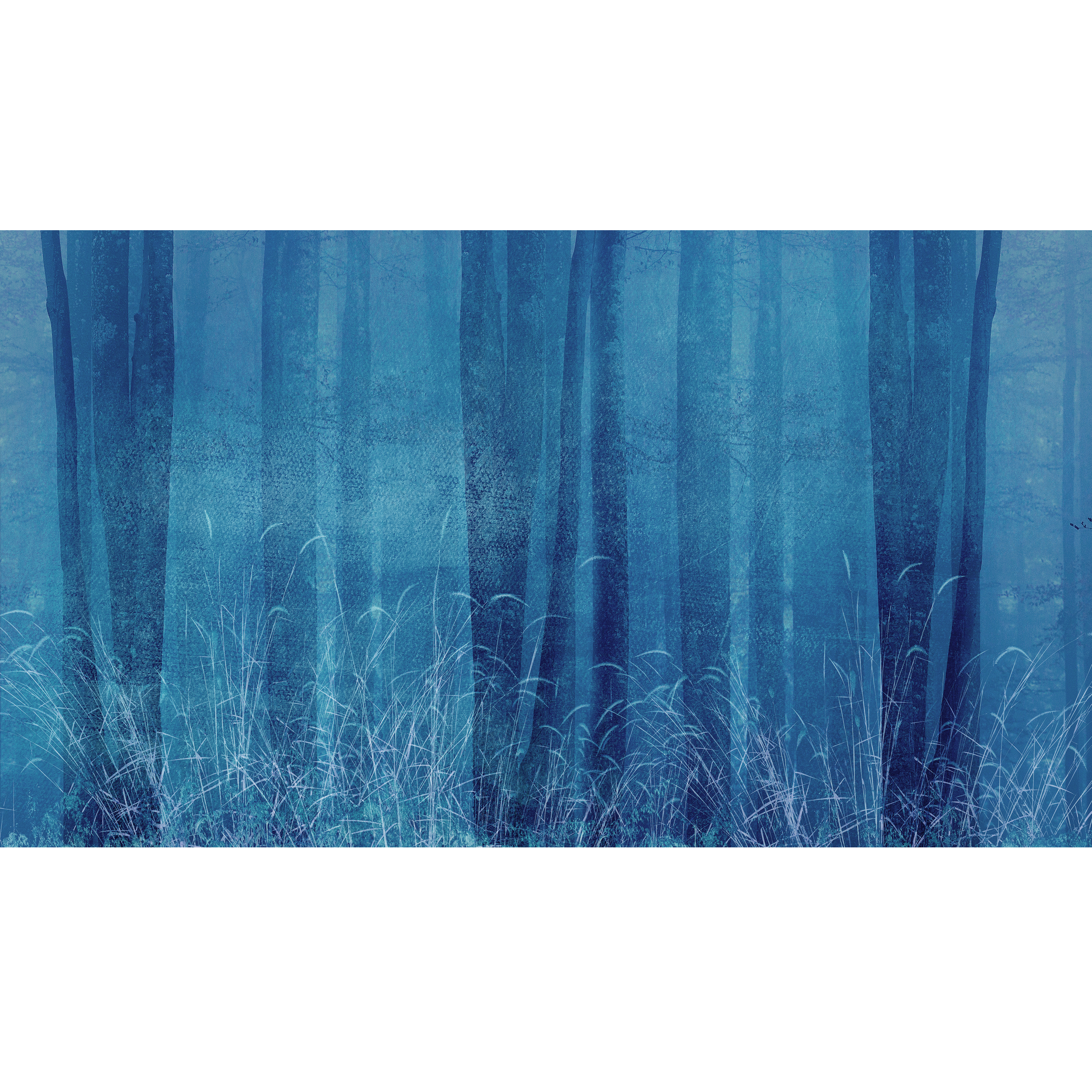 Mural Blue trawy niebieski 500 x 280 cm struktura Art