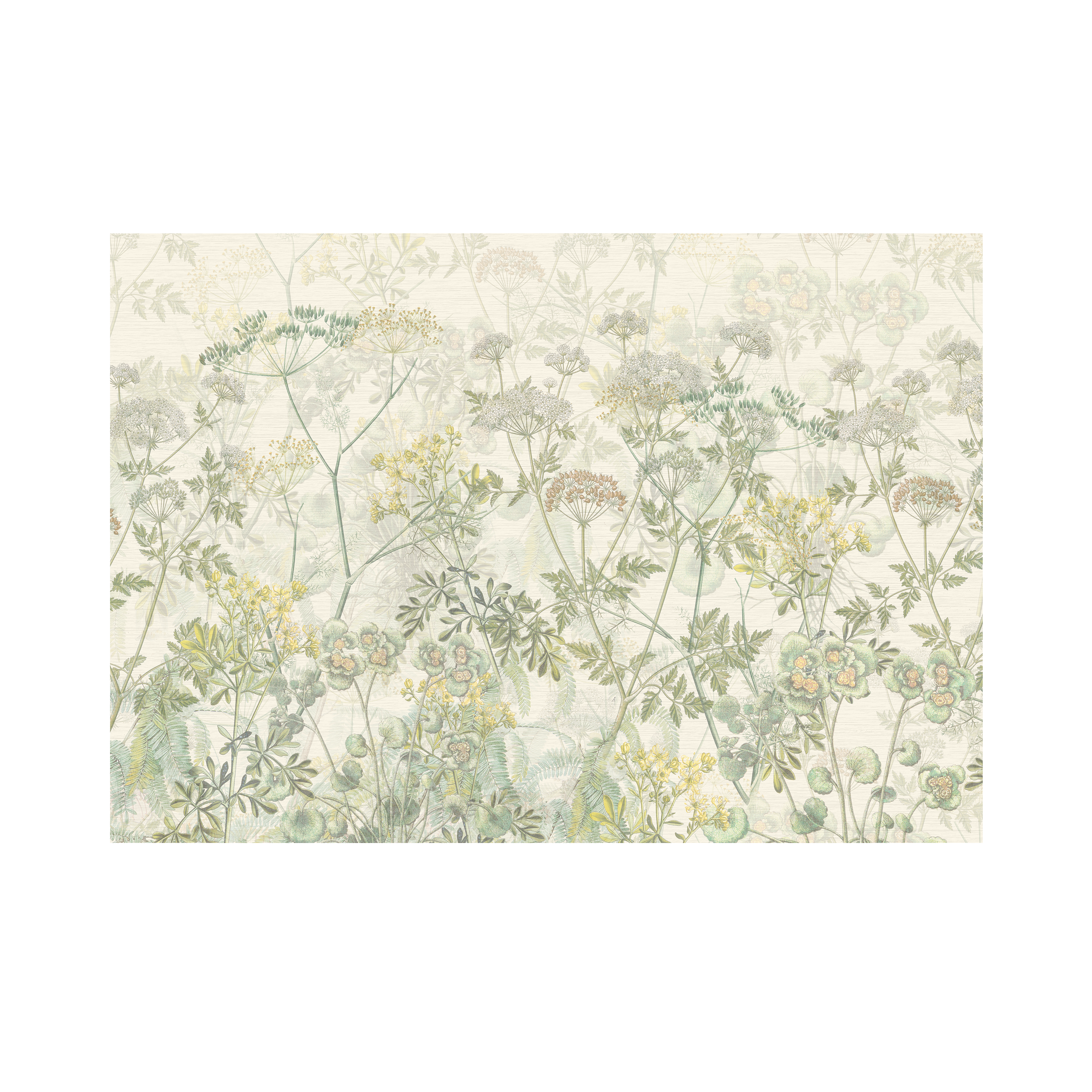 Mural Green Herbs zioła zielone 400 x 280 cm delikatna struktura