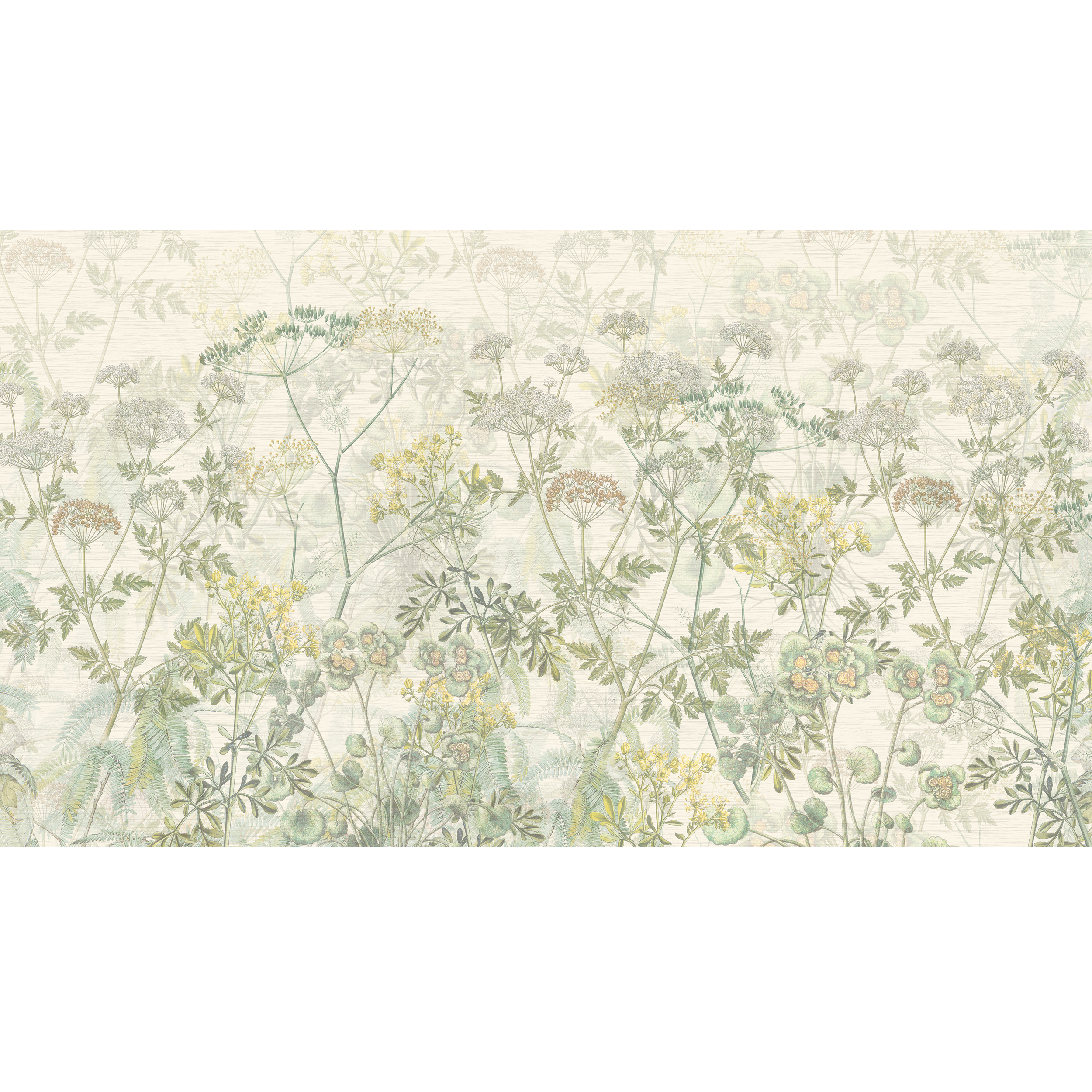 Mural Green Herbs zioła zielone 500 x 280 cm struktura płótna