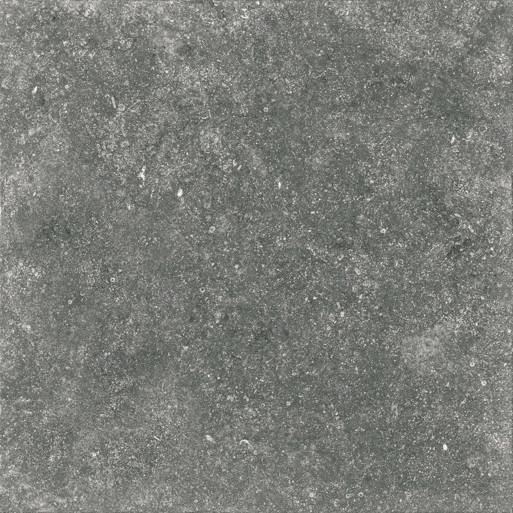 Gres szkliwiony Spectre Grey 2 cm 60x60 Stargres