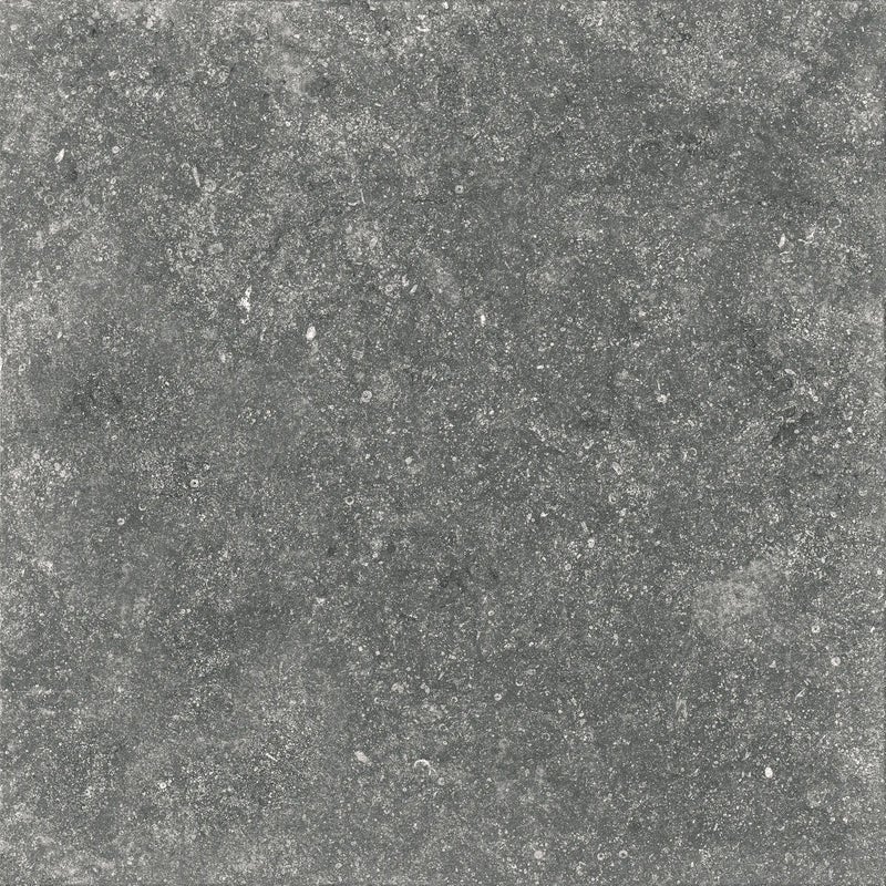 Gres szkliwiony Spectre Grey 2 cm 60x60 Stargres