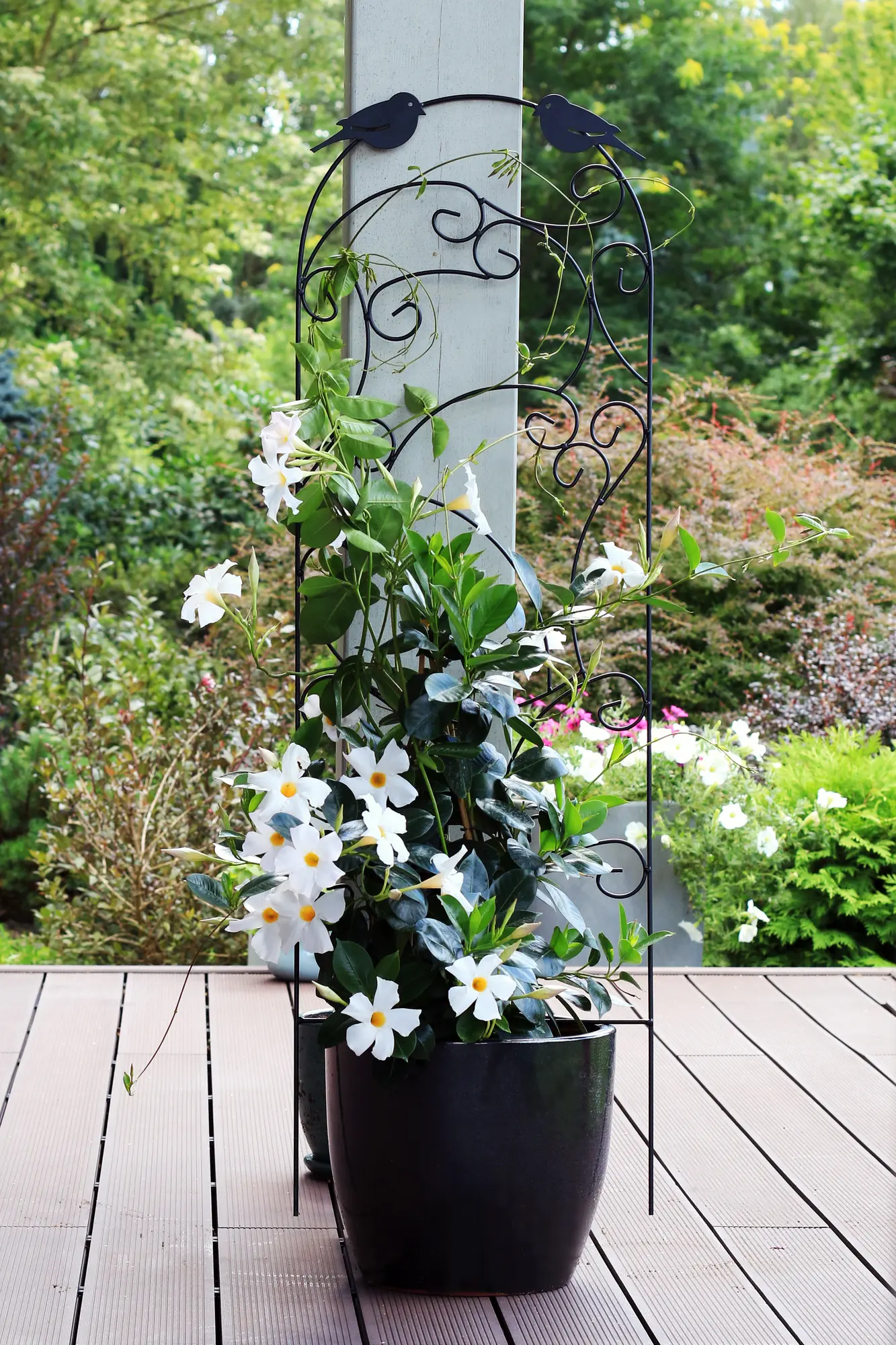 Pergola ogrodowa Ptaki 118x38 cm metalowa Lustan - 2