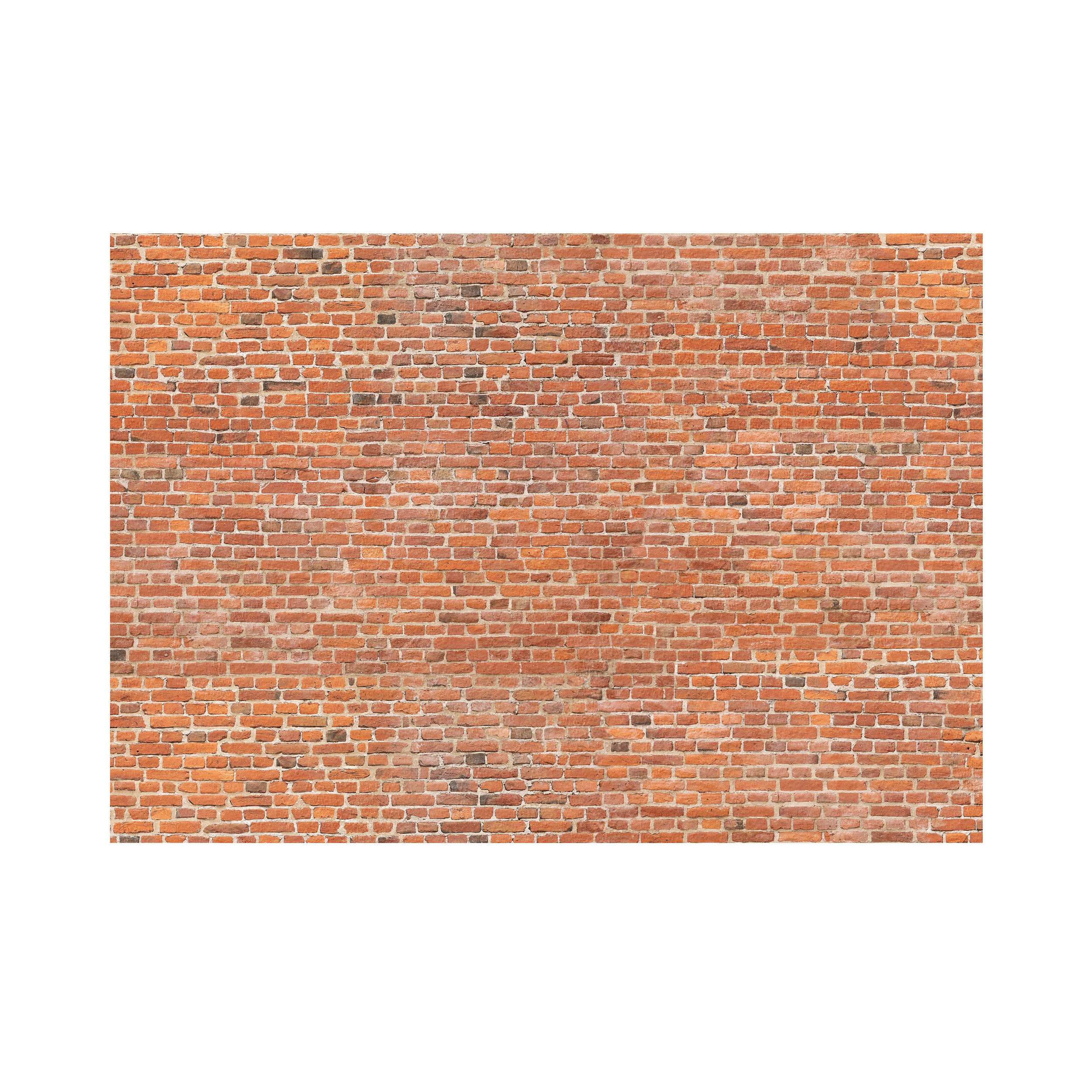 Mural Brick cegła czerwona 400 x 280 cm struktura Art