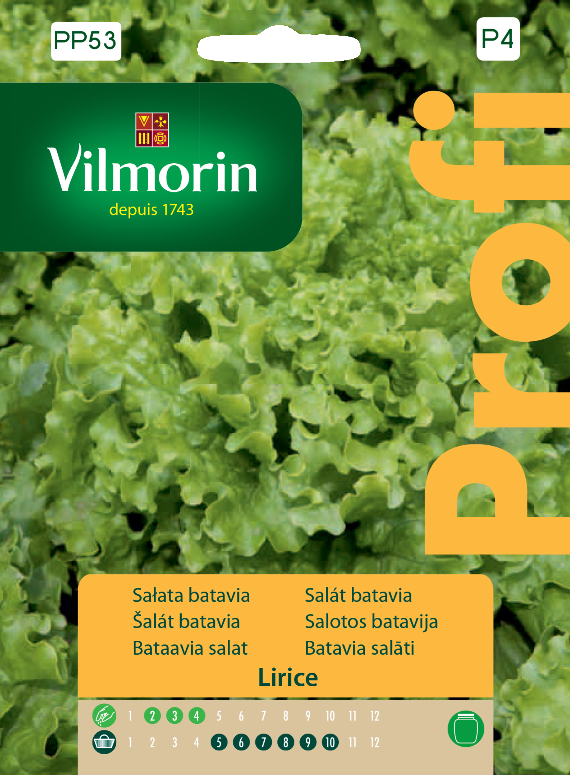 Sałata gruntowa Betavia Lirice nasiona Vilmorin