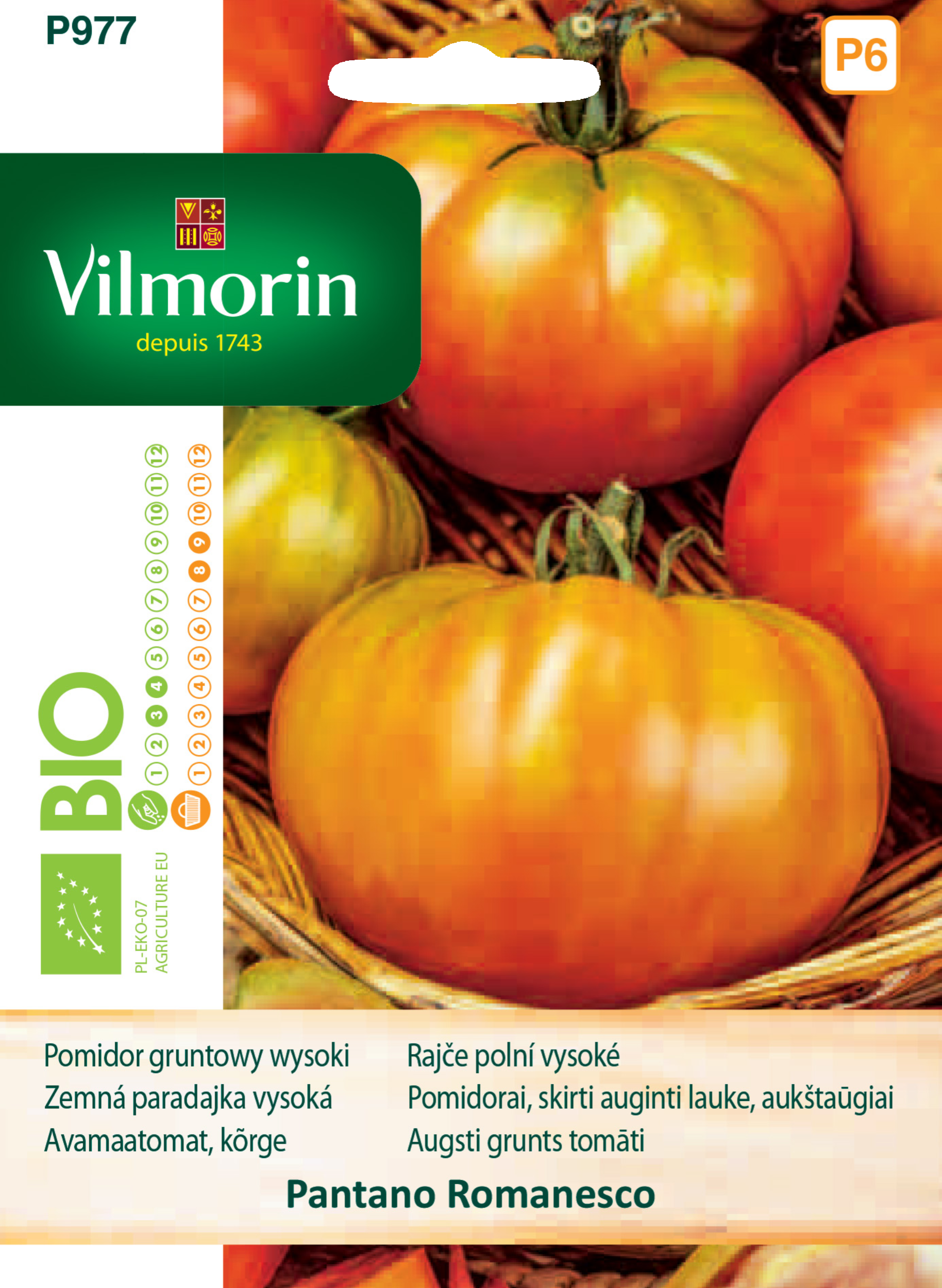 Pomidor gruntowy wysoki Pantano Romanesco nasiona Vilmorin