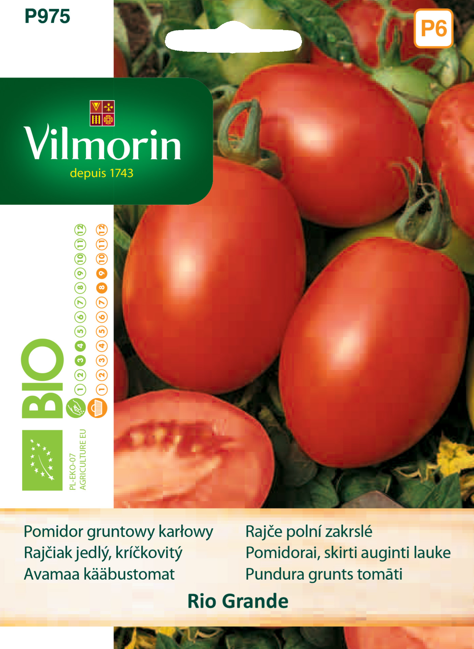 Pomidor gruntowy wysoki Bio Rio Grande nasiona Vilmorin