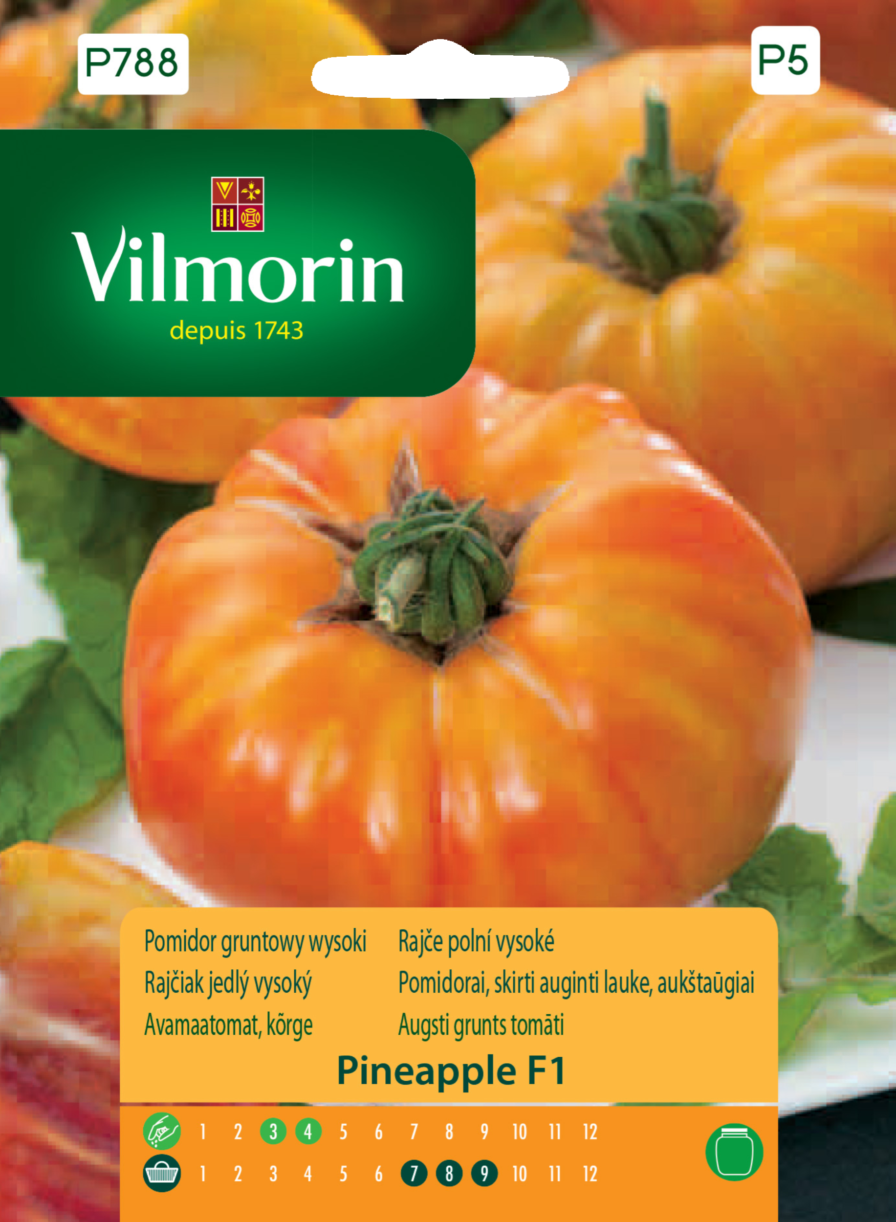 Pomidor gruntowy wysoki Pineapple F1 nasiona Vilmorin